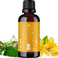 Focus Essential Oil Blend for Diffusers - Energy & Focus (Grapefruit, Bergamot, Peppermint, Eucalyptus) 1 Fl Oz