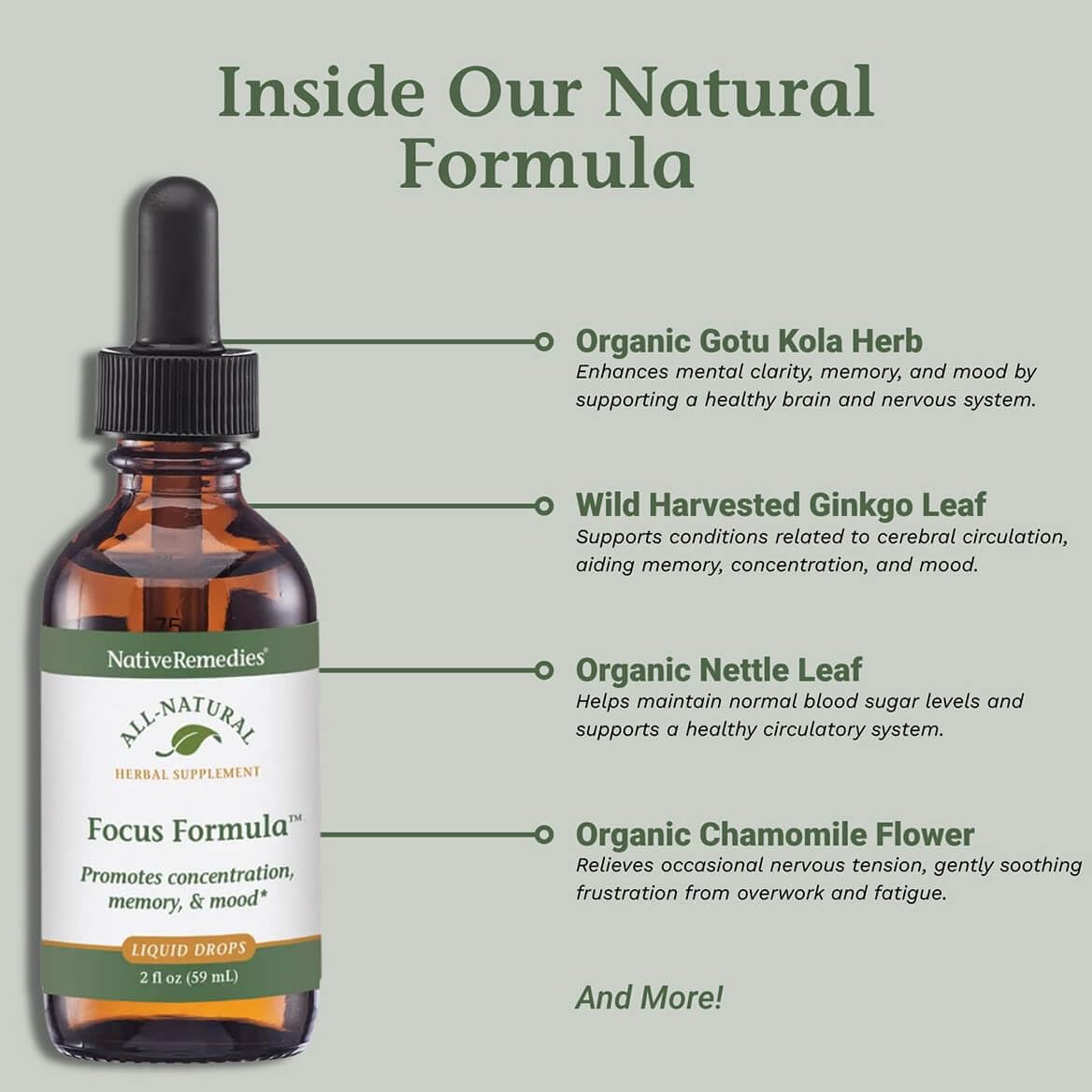 Native Remedies Focus Formula - Natural Focus Support