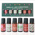 Folkulture Christmas Essential Oils for Diffuser – 6 x 2 oz Set (Vanilla, Cinnamon, Pine & Eucalyptus)