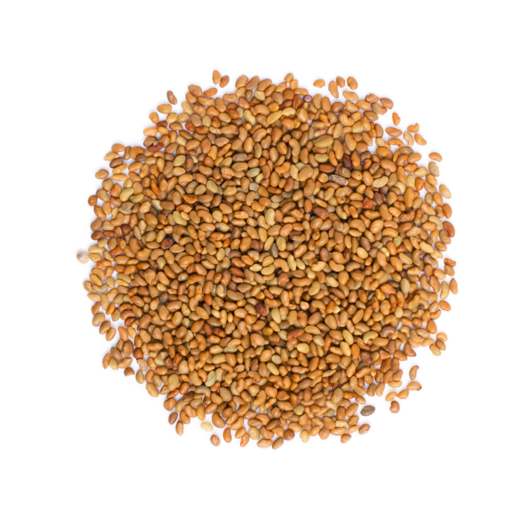 Food to Live Organic Alfalfa Sprouting Seeds - 8 oz, Non-GMO, Kosher, Raw