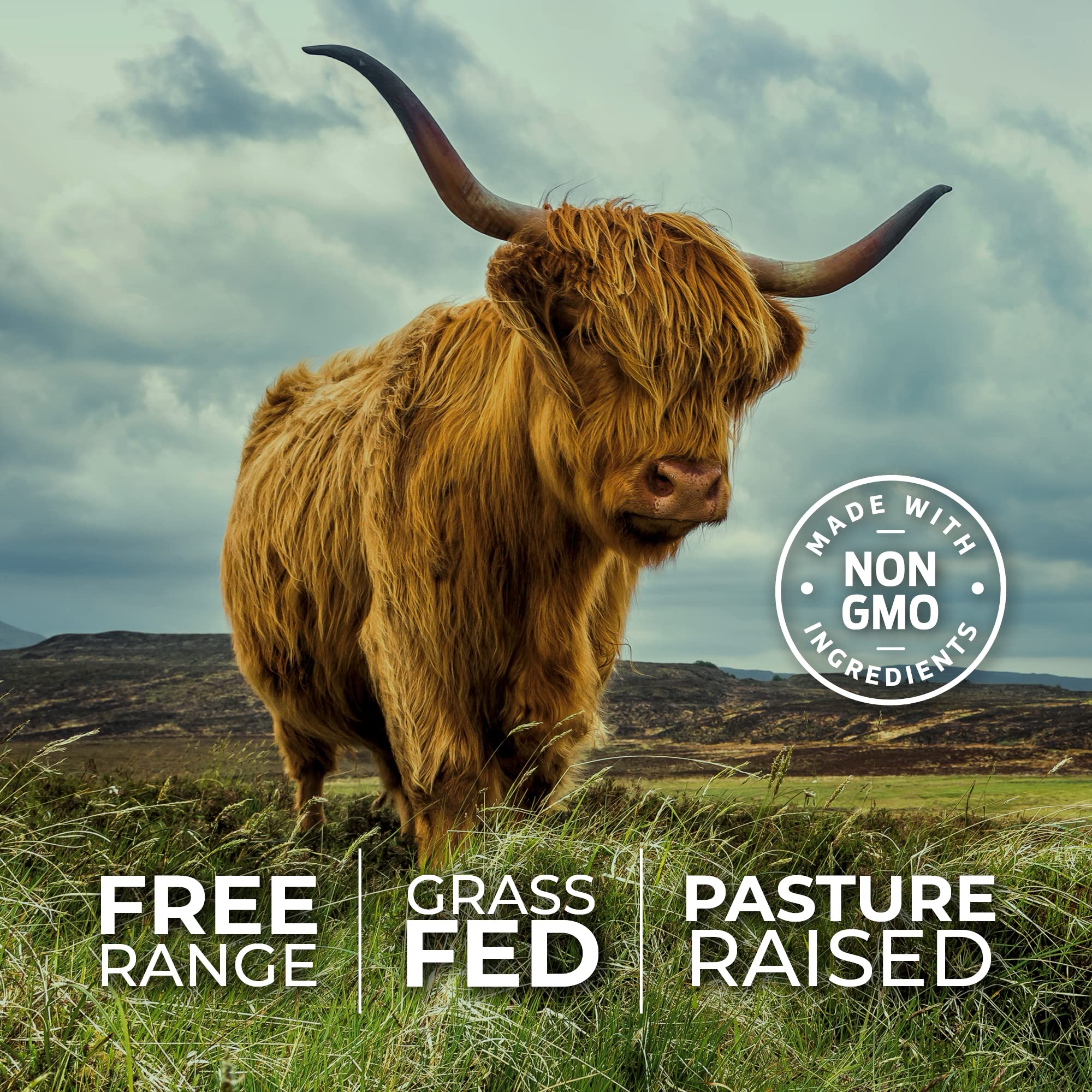 ForestLeaf Beef Organ Supplement - Grass-Fed & Pasture-Raised (180 Caps)