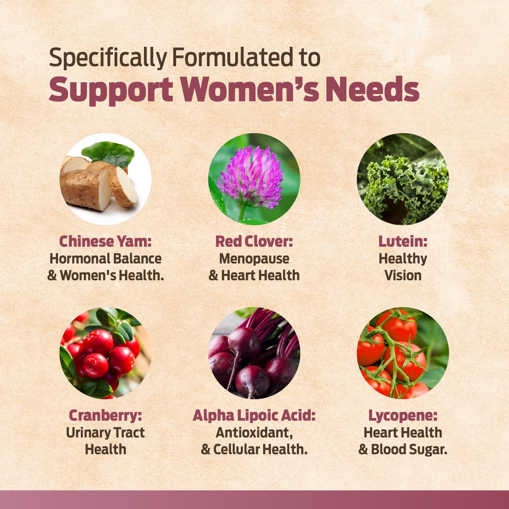 ForestLeaf Daily Vitamin Multivitamin for Women - Women's Multivitamin & Multiminerals (60 Veg Caps)