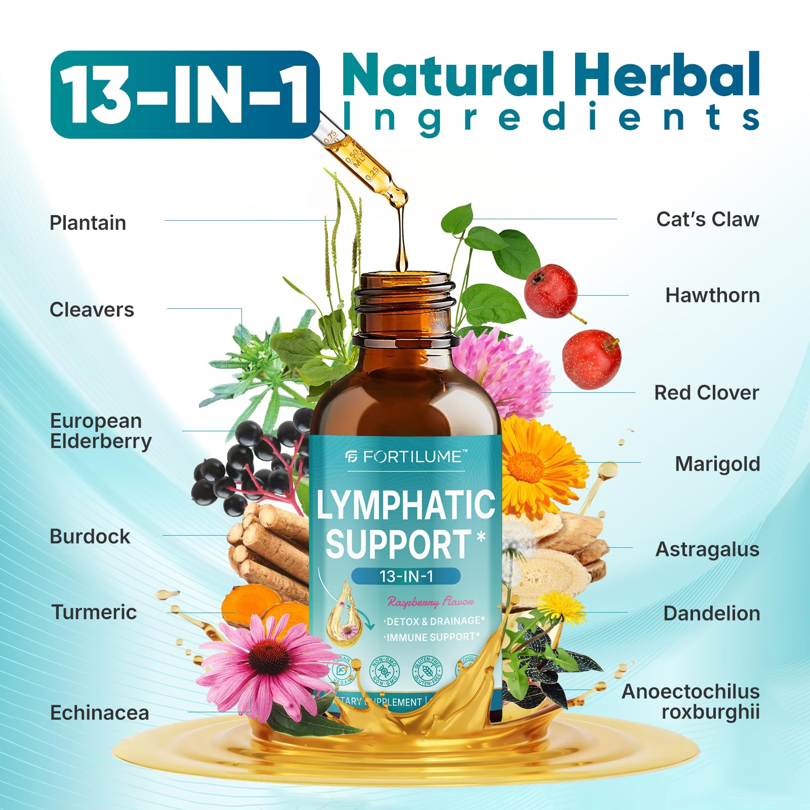 FORTILUME Lymphatic Drainage Drops - 13-in-1 Lymphatic & Immune Support, Elderberry & Echinacea, Raspberry Flavor, 2 fl oz (30 Servings)