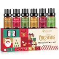 Fragrance Oil Christmas Set – Jingle Bells, Christmas Tree, Gingerbread & Vanilla Bean Noel for DIY Candles & Soap