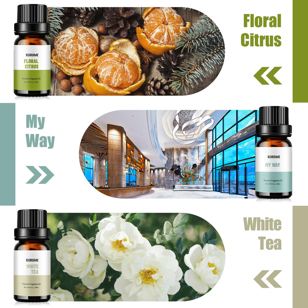 Fragrance Oils Hotel Collection Diffuser Oil Set – Luxury Night, Jasmine & Mint, Lemon & Thyme, White Tea, Floral Citrus, My Way