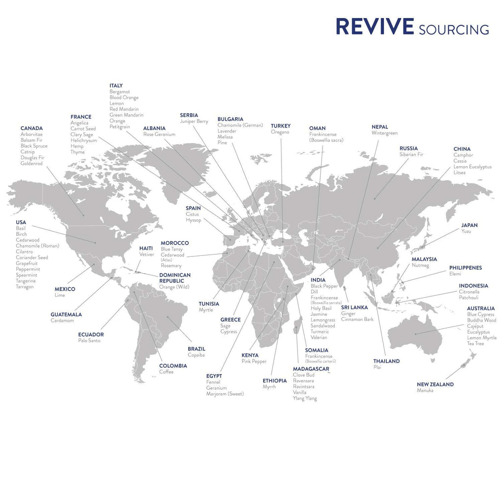 Frankincense Boswellia Carterii 30mL – Revive Essential Oils | 100% Pure Therapeutic Grade