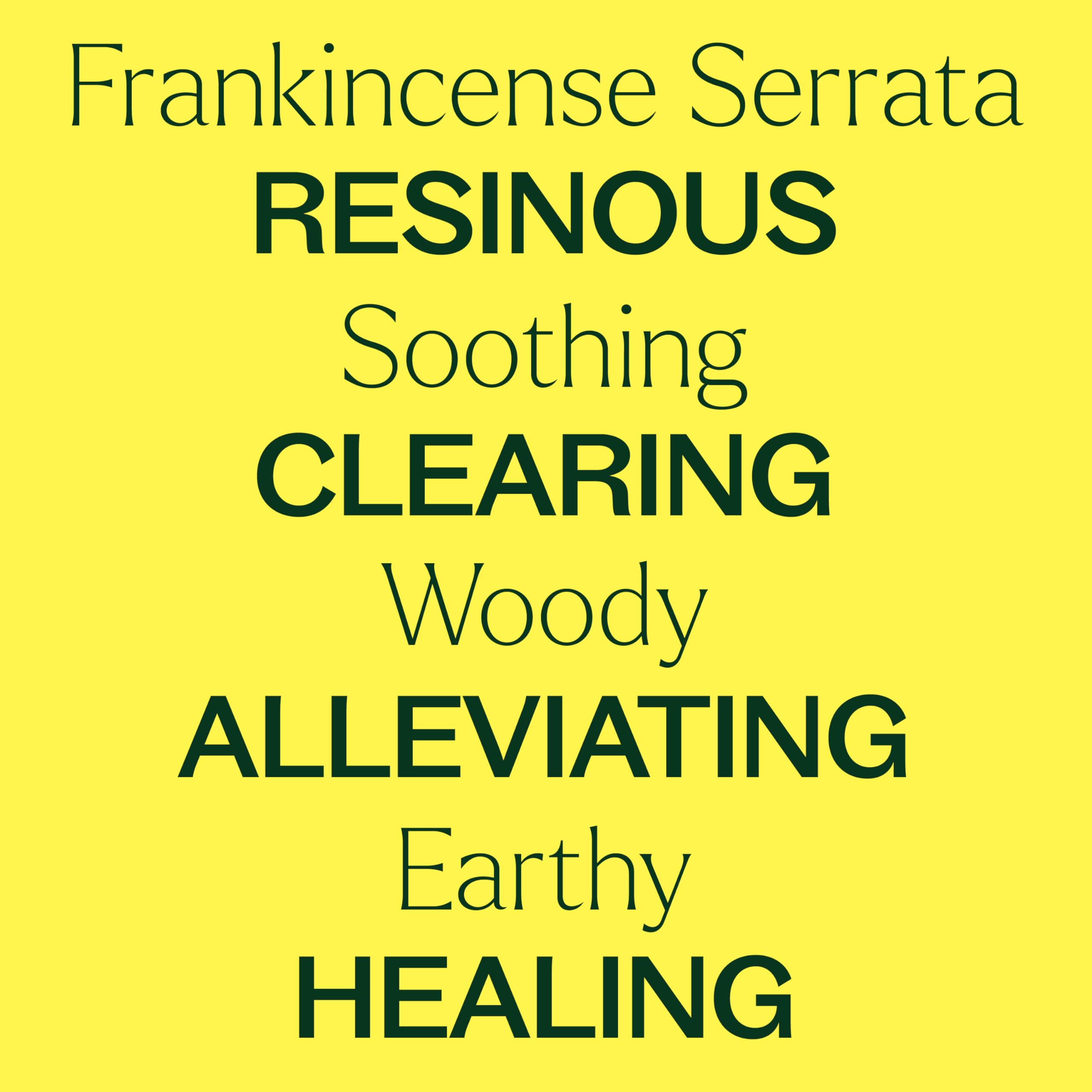 Plant Therapy Frankincense Serrata Essential Oil – 100% Pure, 10 mL