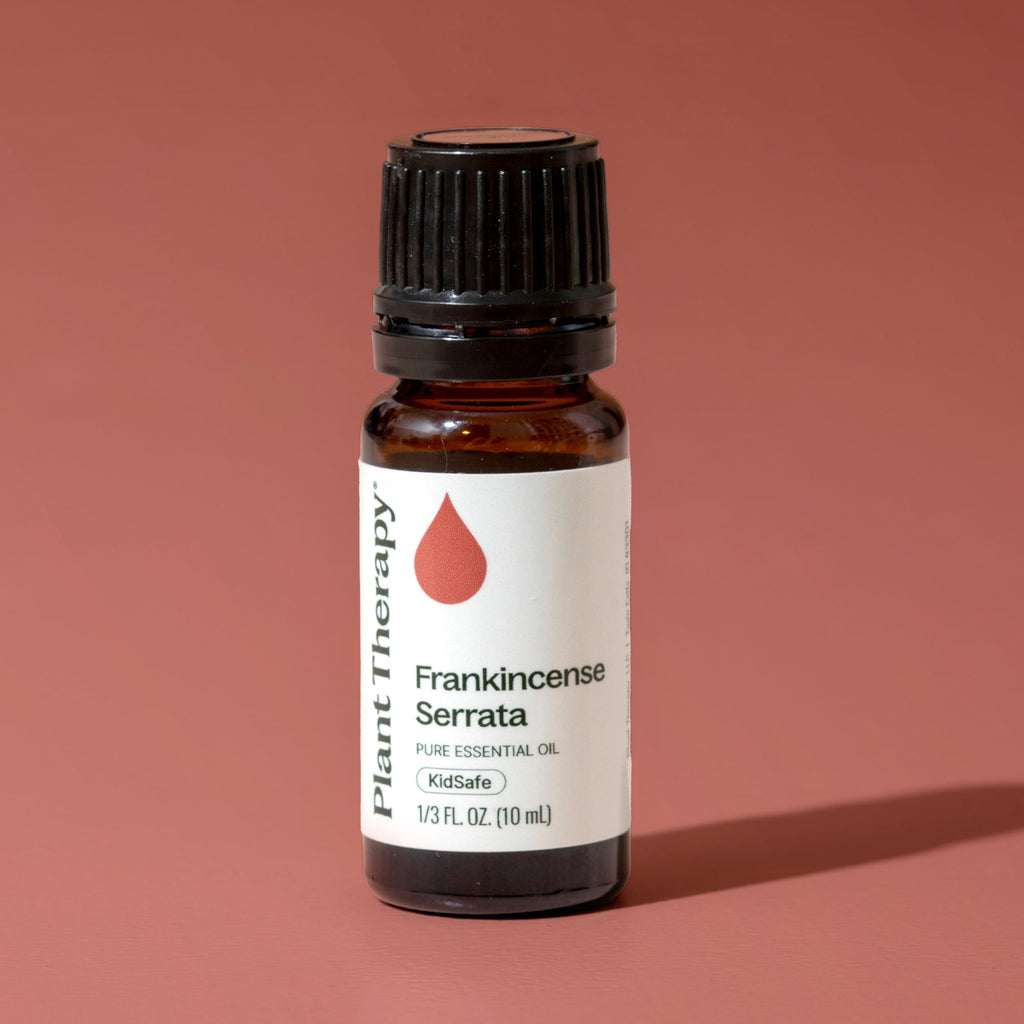 Plant Therapy Frankincense Serrata Essential Oil – 100% Pure, 10 mL