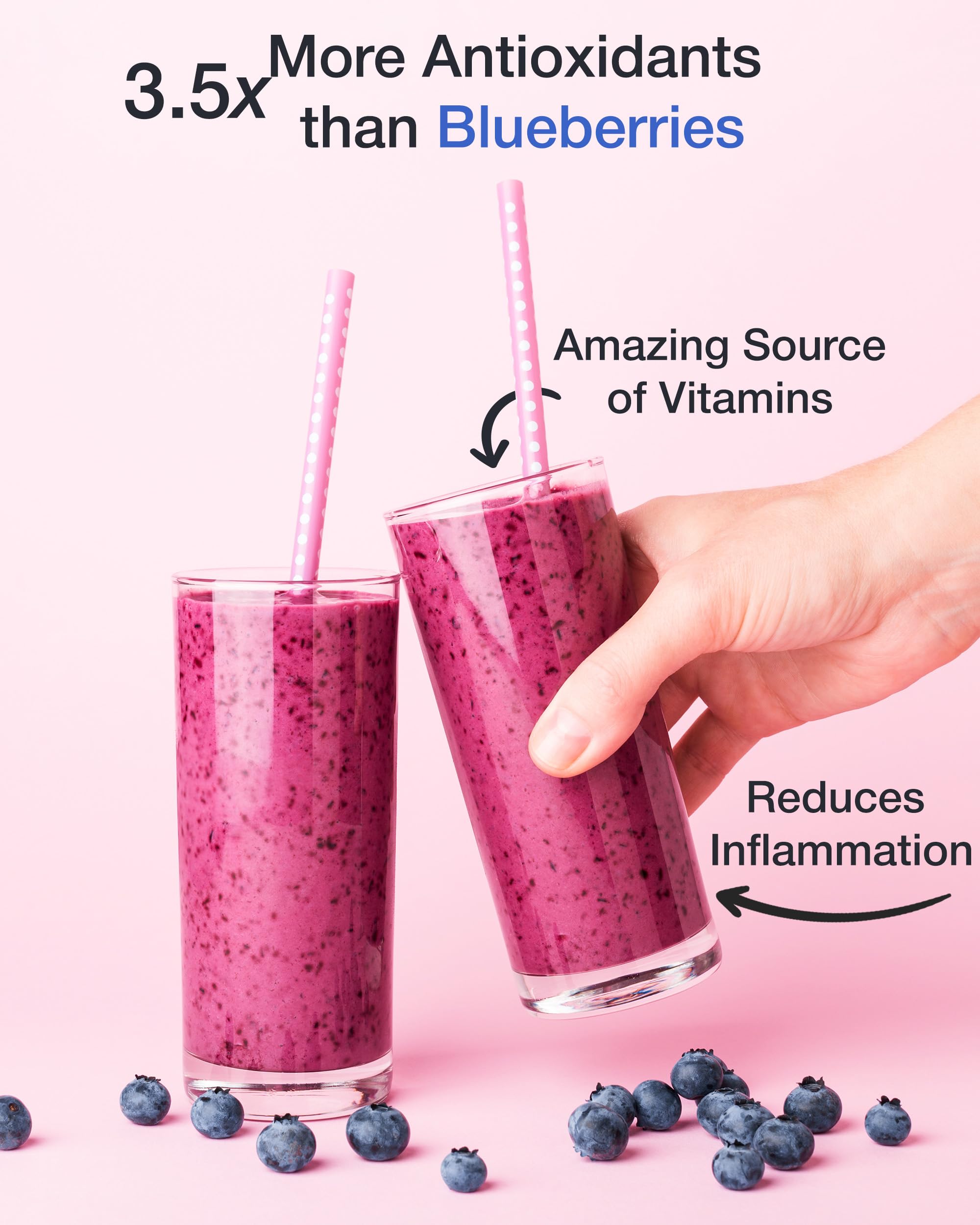Organic Aronia Berry Juice Powder - 1 lb | Antioxidants