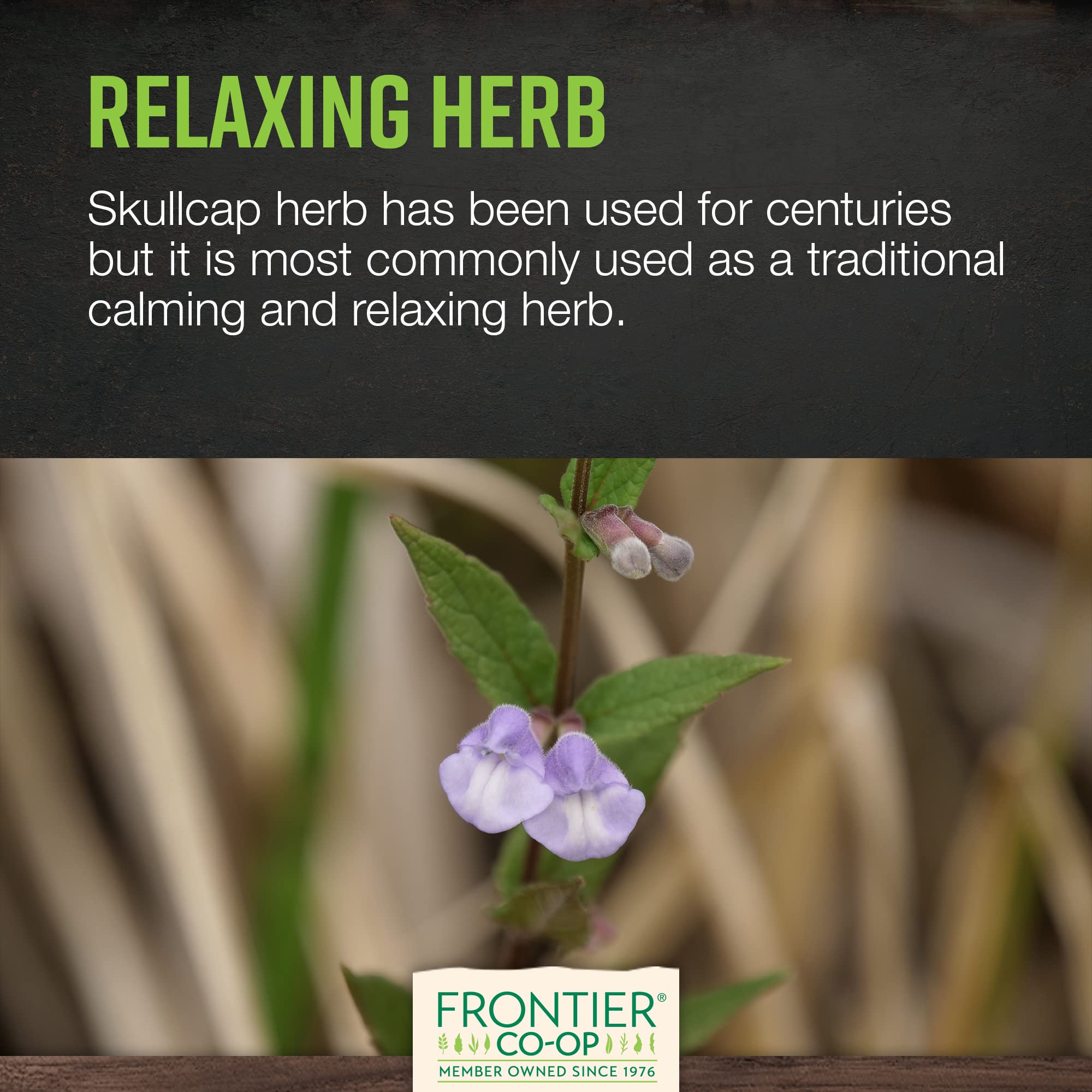 Frontier Co-op Organic Skullcap Herb (Cut & Sifted) 1lb – Certified Organic