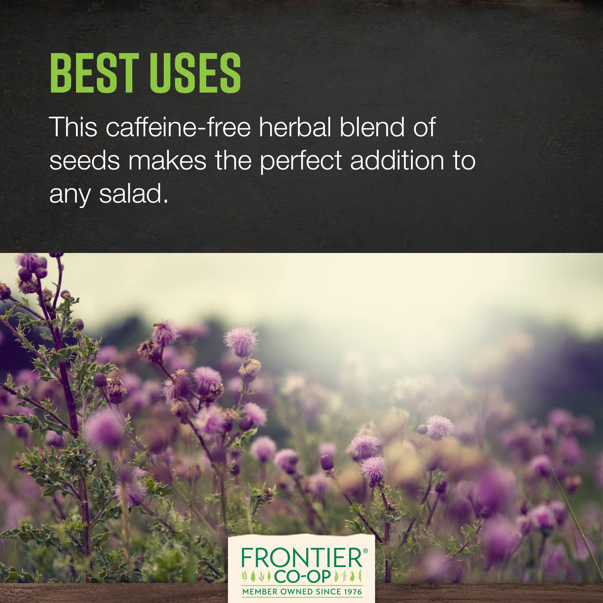 Frontier Co-op Organic Whole Milk Thistle Seed 1lb