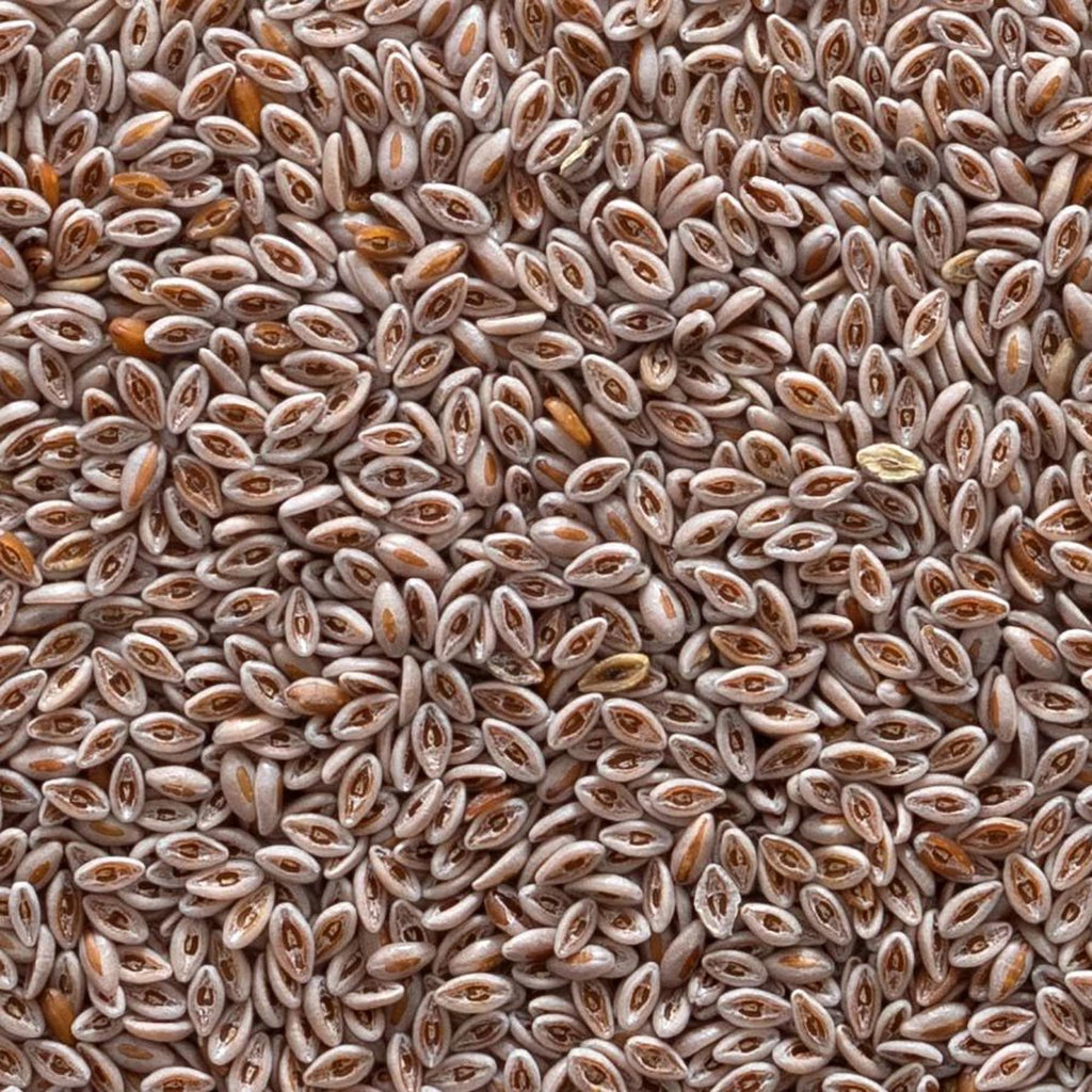 Frontier Co-op Organic Whole Psyllium Seed 1lb