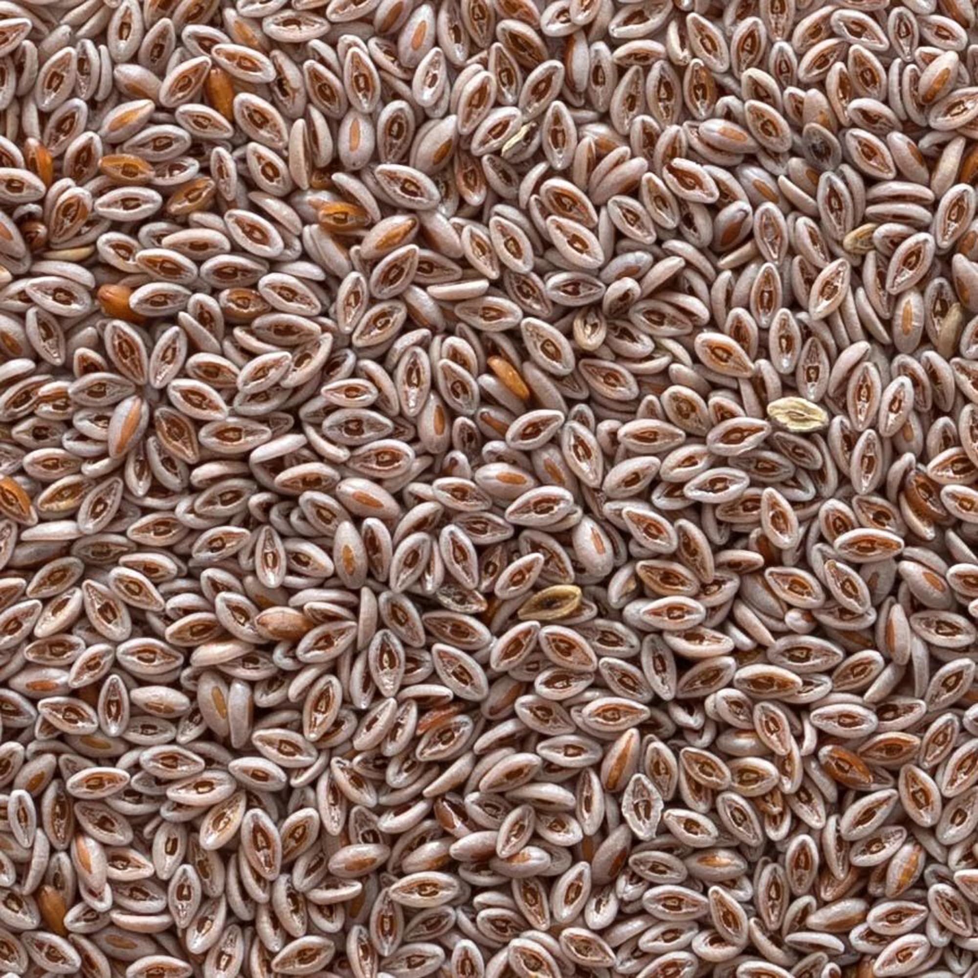 Frontier Co-op Organic Whole Psyllium Seed 1lb