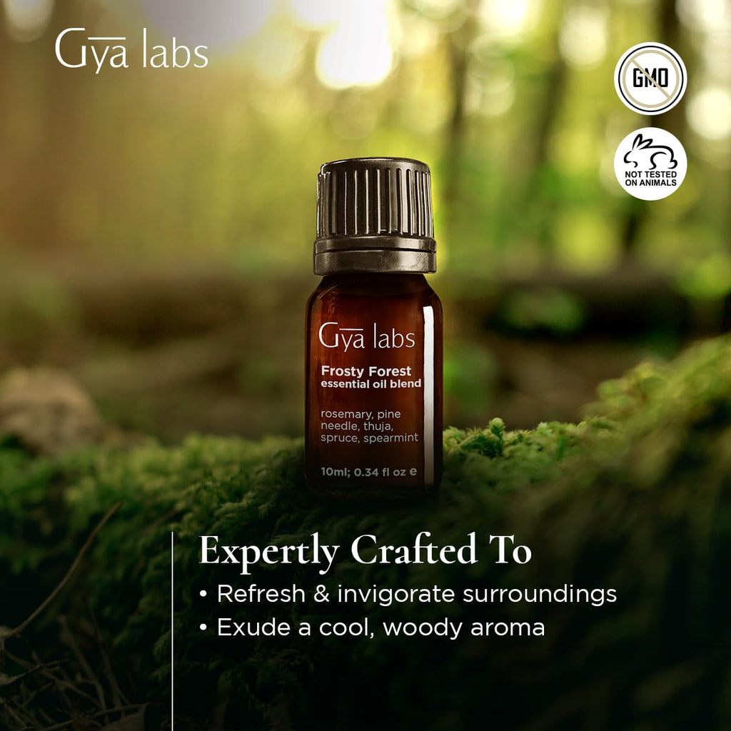 Gya Labs Frosty Forest Essential Oil Blend - Revitalizing & Invigorating (0.34 Fl Oz)