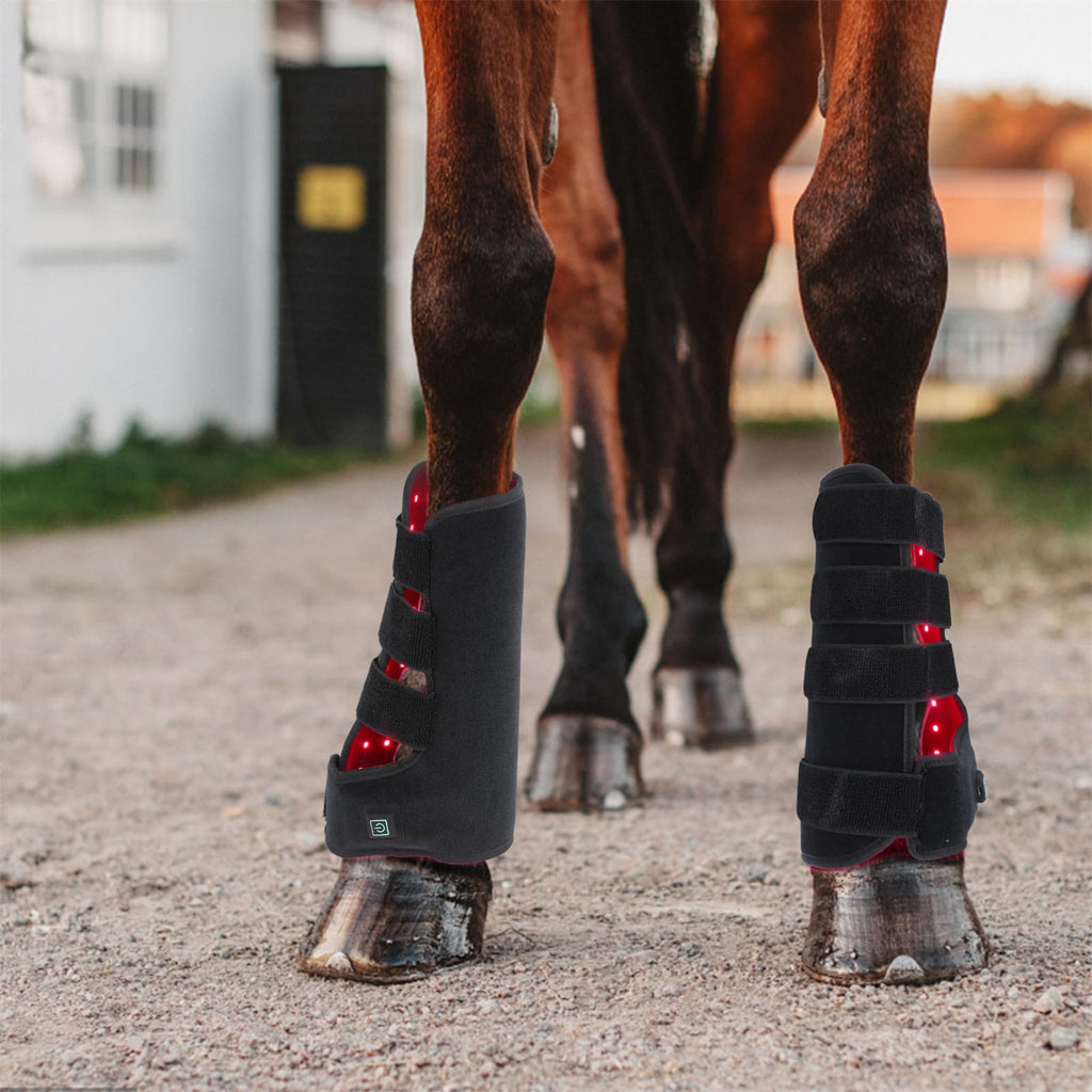 FSDLJSP Red Light Therapy for Horses — 850nm & 660nm Infrared Therapy for Leg Stifle