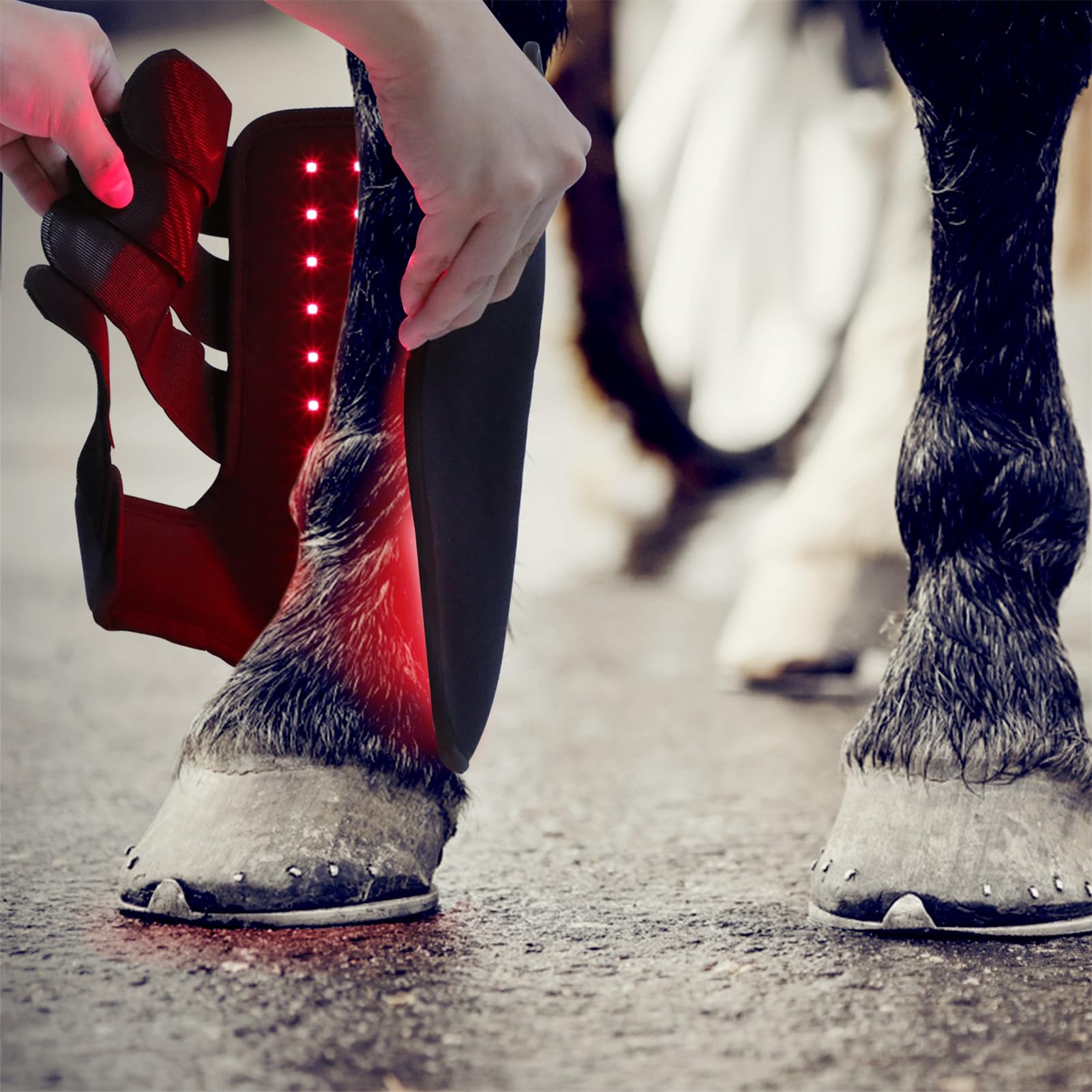 FSDLJSP Red Light Therapy for Horses — 850nm & 660nm Infrared Therapy for Leg Stifle