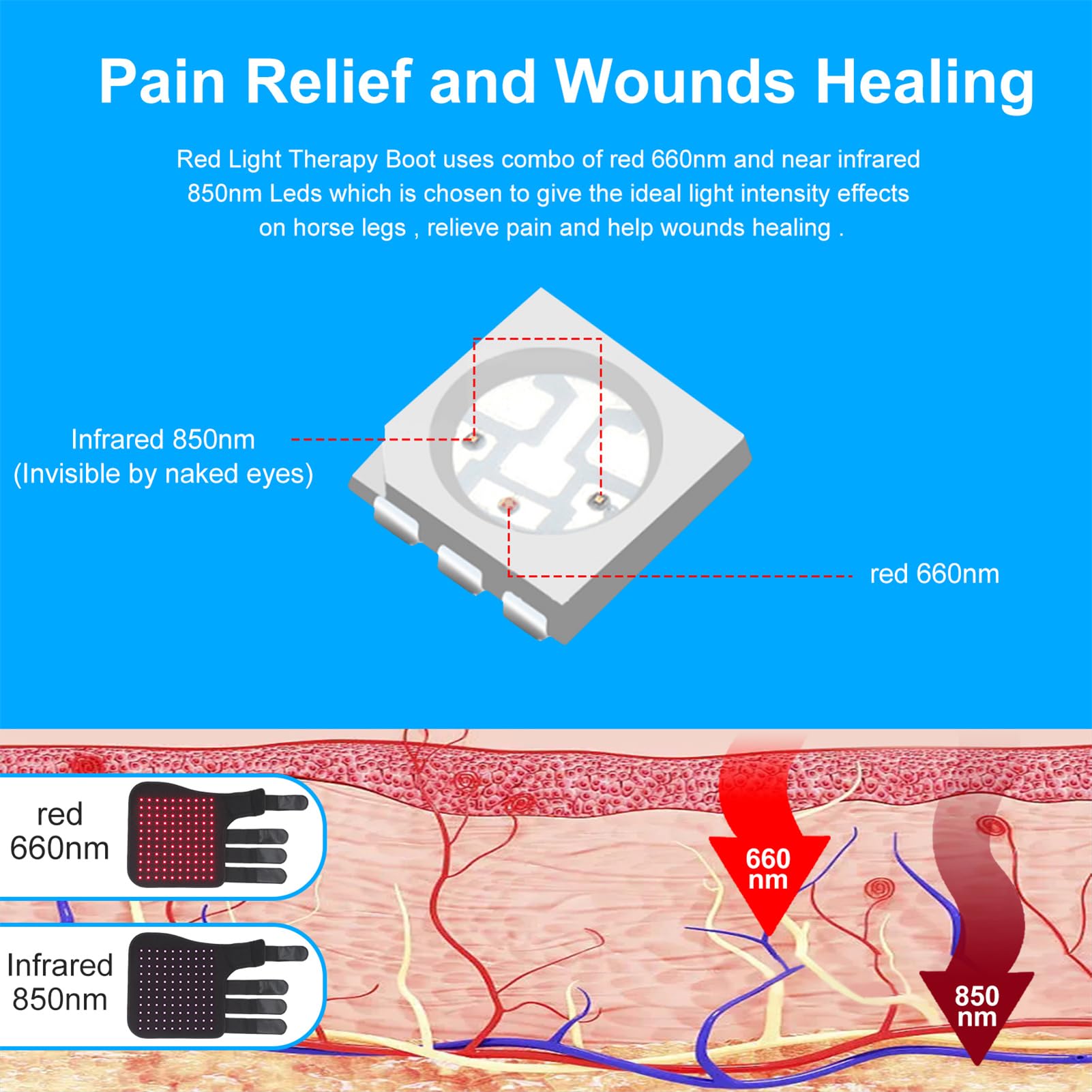 FSDLJSP Red Light Therapy for Horses — 850nm & 660nm Infrared Therapy for Leg Stifle