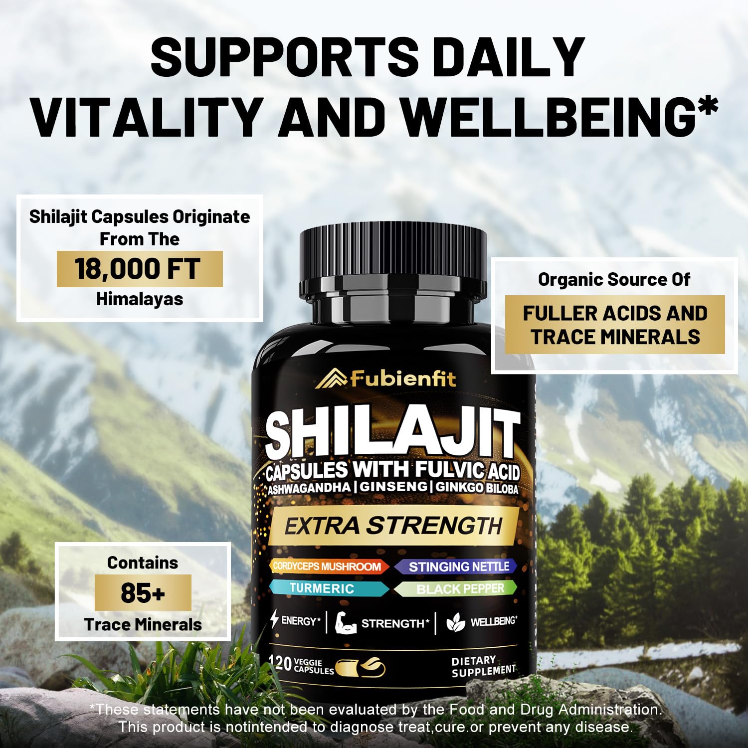 Fubienfit Shilajit Capsules – Premium Shilajit with Ashwagandha, Ginseng & Fulvic Acid (120 Capsules)