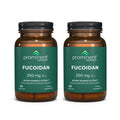 Prominent Nutrition Fucoidan Gut Health & Immune Support Supplement – 250mg, 60 Count – Premium Brown Seaweed Extract – 2 Pack