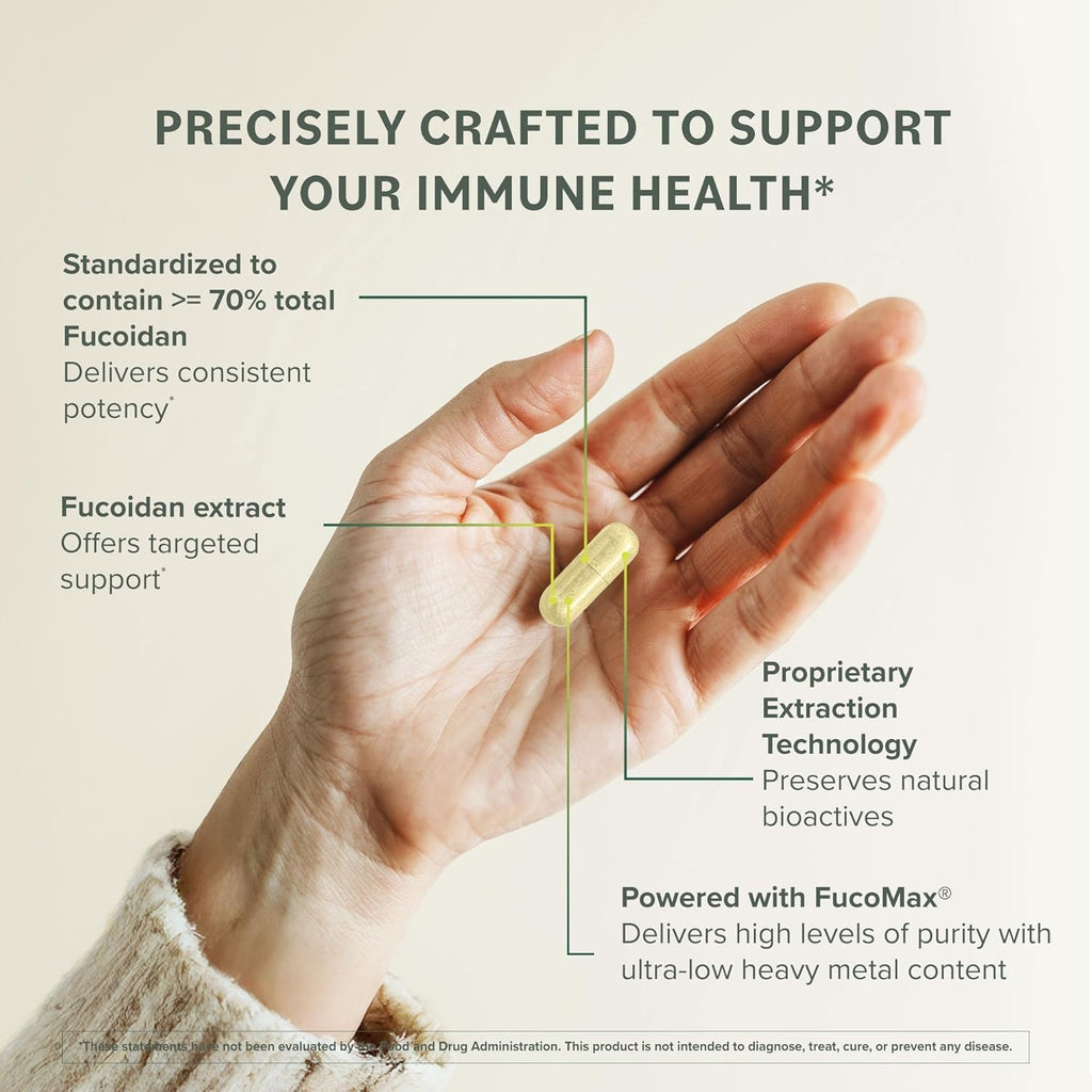 Prominent Nutrition Fucoidan Gut Health & Immune Support Supplement – 250mg, 60 Count – Premium Brown Seaweed Extract – 2 Pack