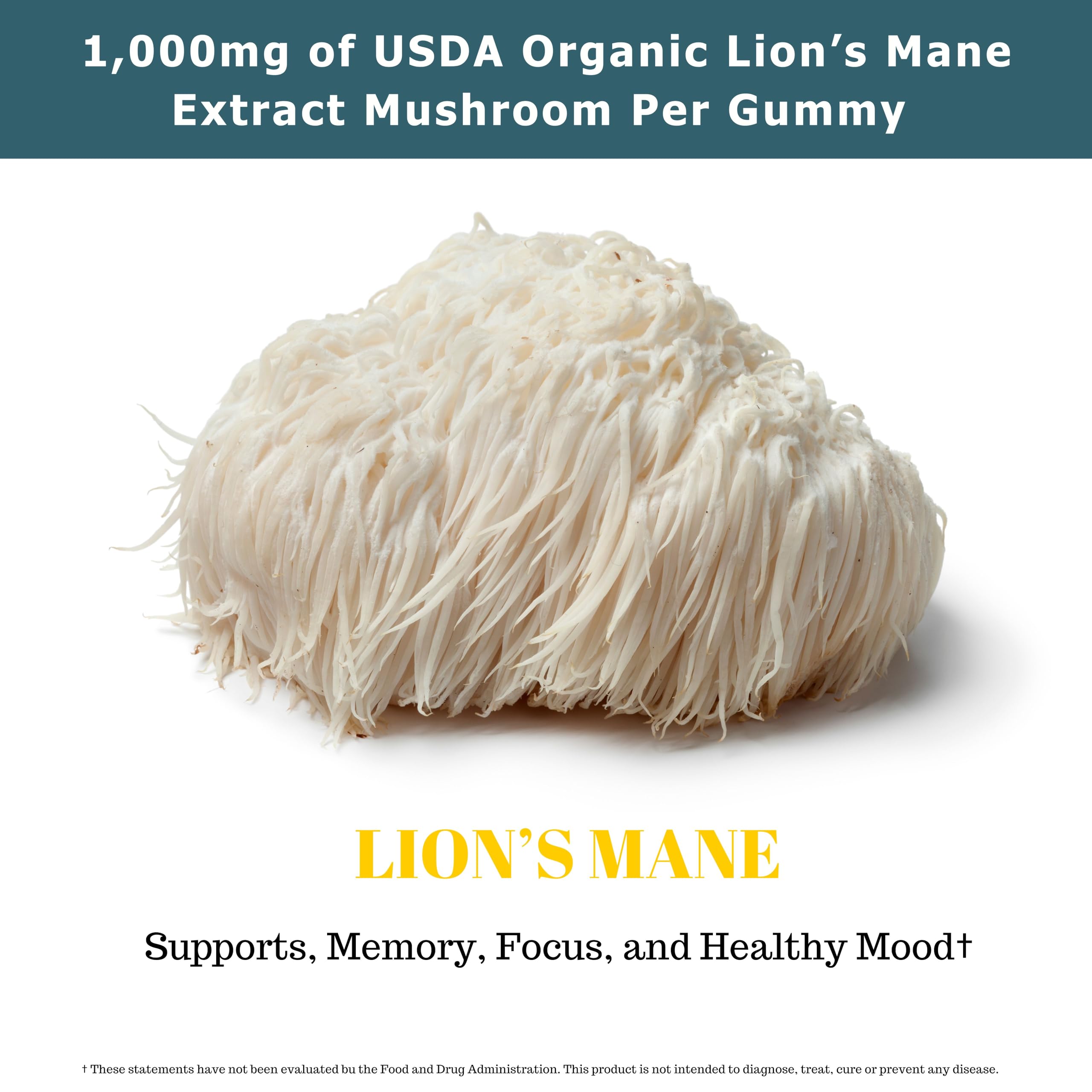 Fundamental Fungi Lion's Mane Gummies – 90 Servings | Brain Health & Focus