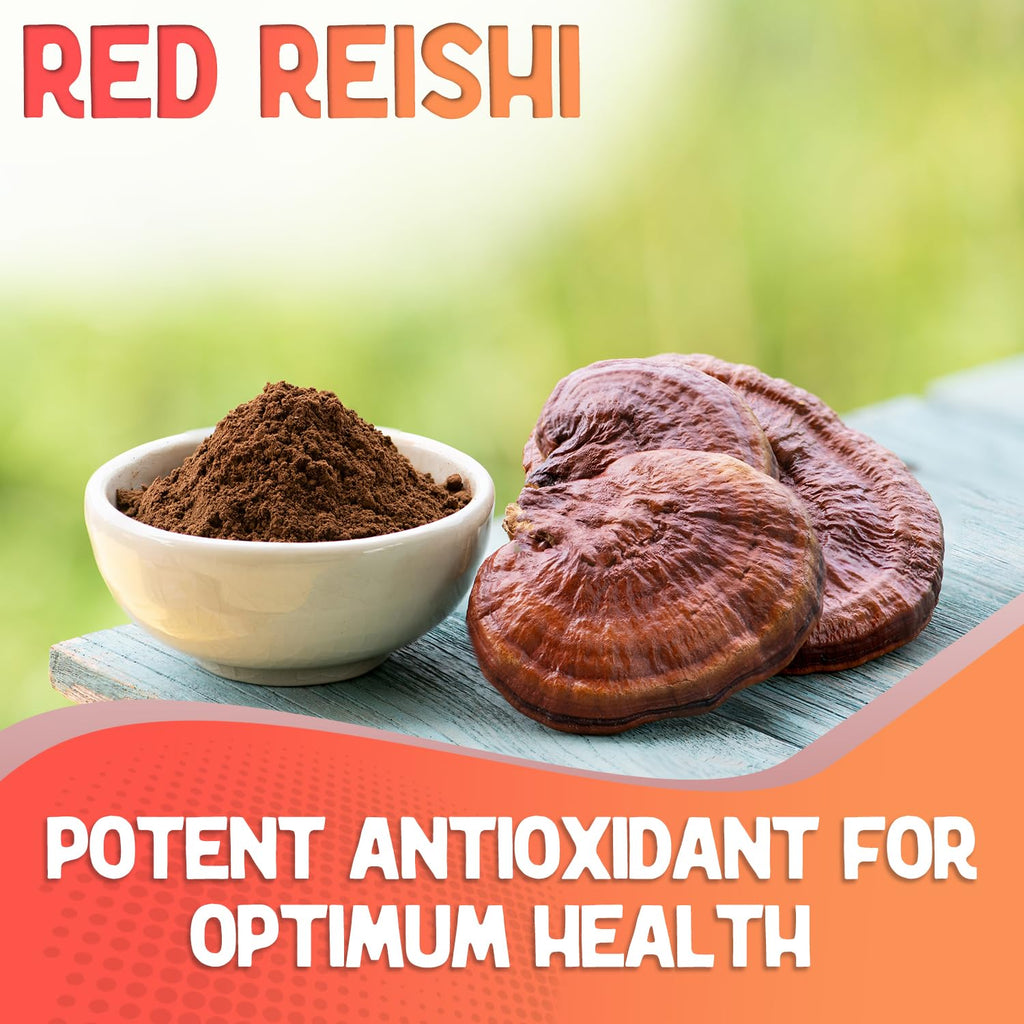 Fungi Fusion Organic Mushroom Powder Blend - Lion's Mane, Red Reishi, Chaga, Cordyceps (8 oz)