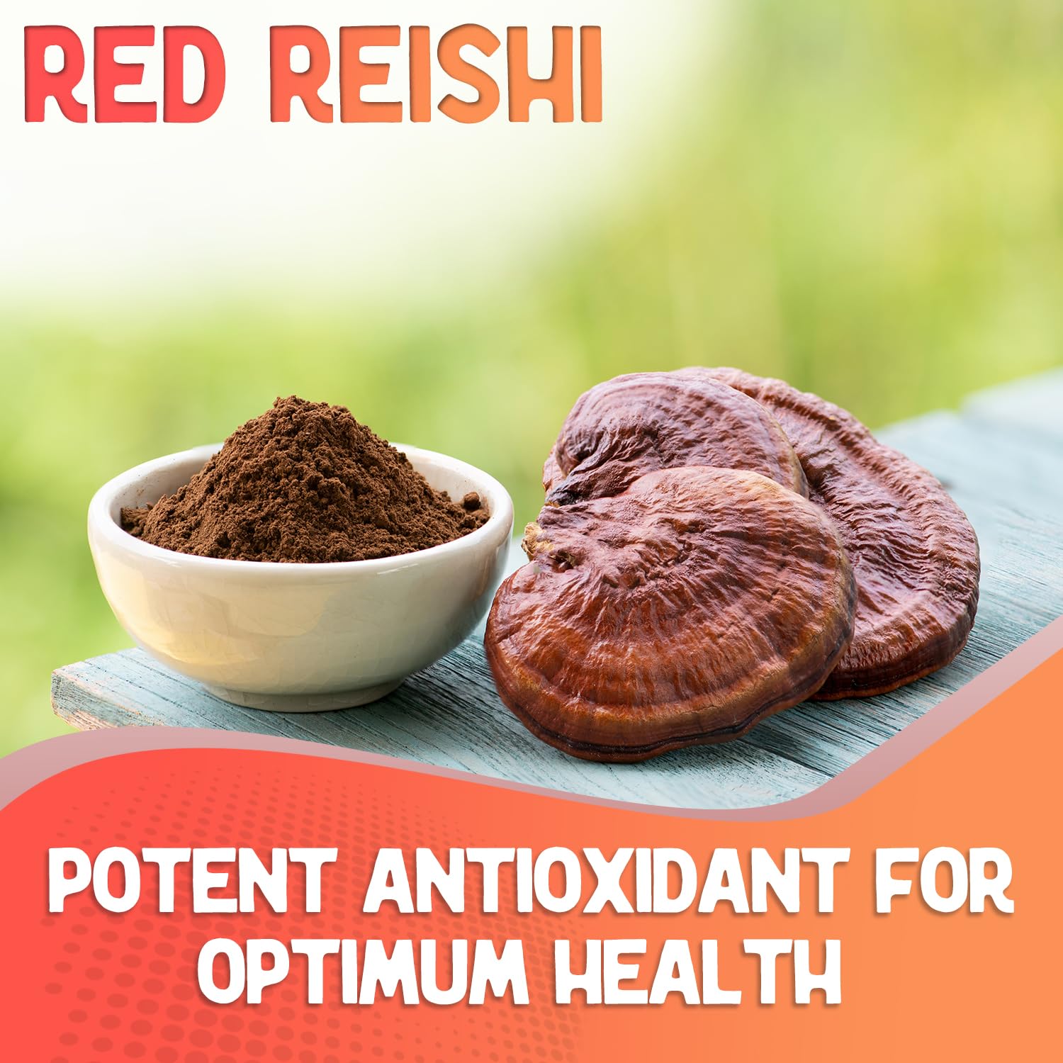 Fungi Fusion Organic Mushroom Powder Blend - Lion's Mane, Red Reishi, Chaga, Cordyceps (8 oz)