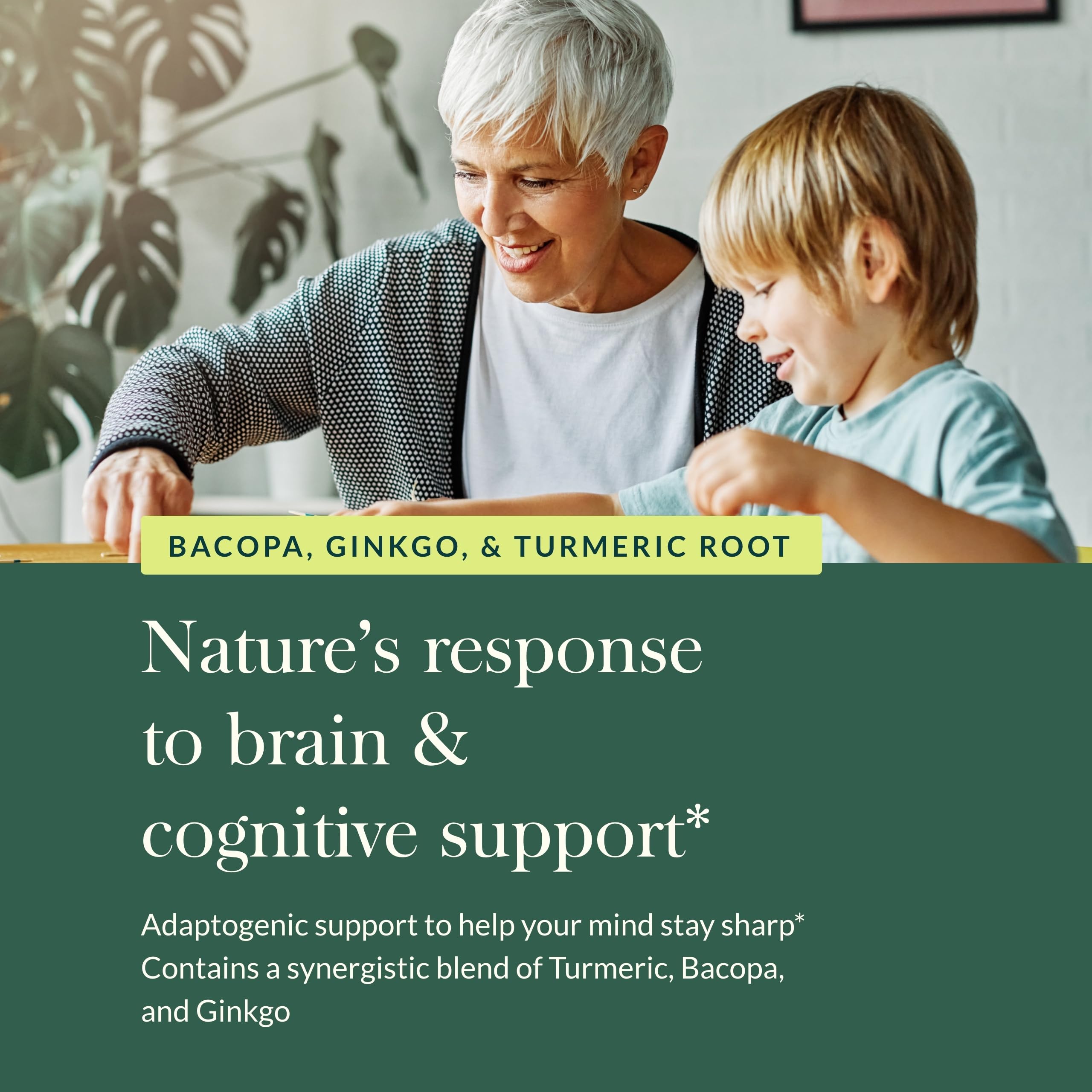 Gaia Herbs Agile Mind – Brain Support with Turmeric, Bacopa, Black Pepper & Ginkgo Biloba | 60 Vegan Liquid Phyto-Capsules