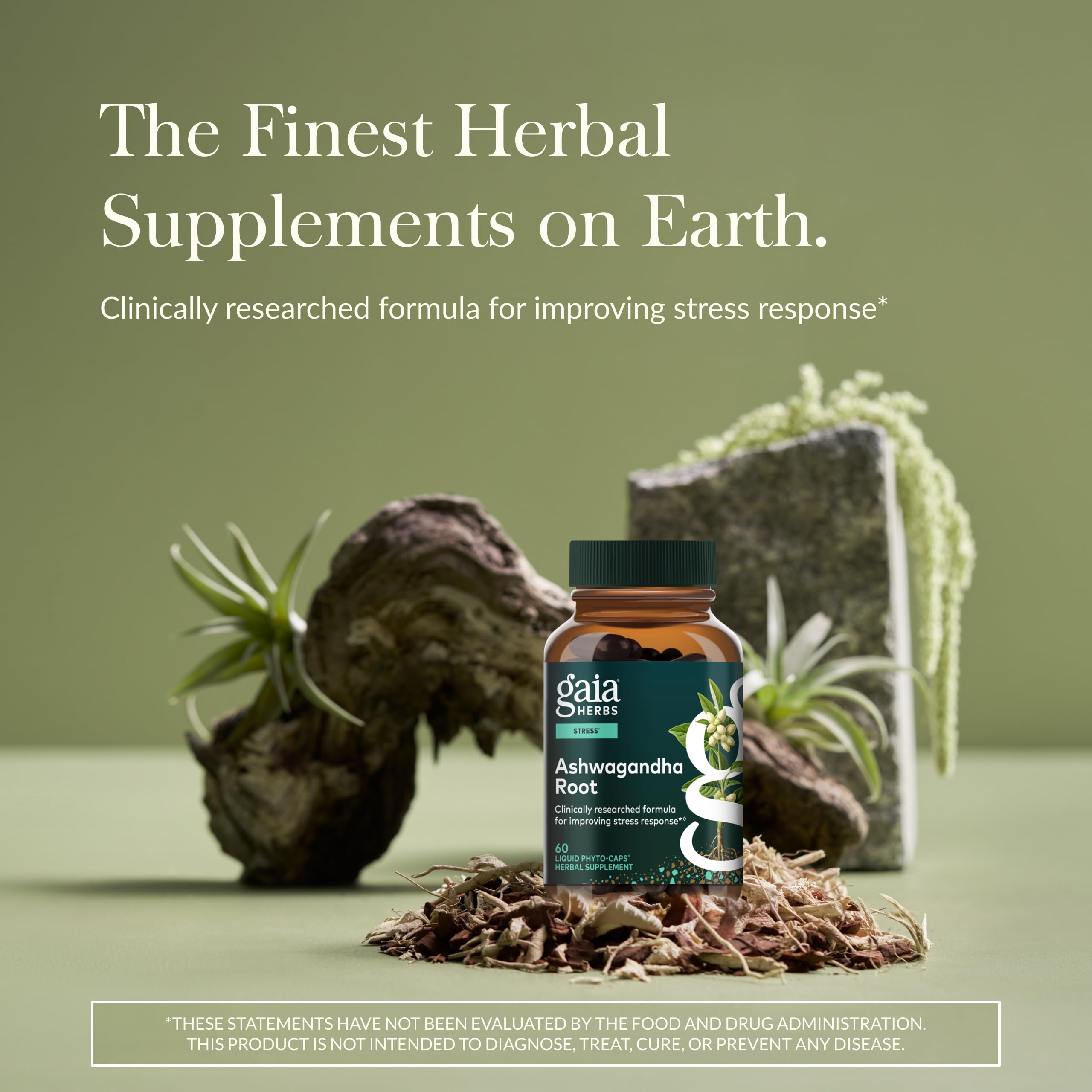 Gaia Herbs Ashwagandha Root - Stress Relief & Sleep Support (60 Vegan Capsules)