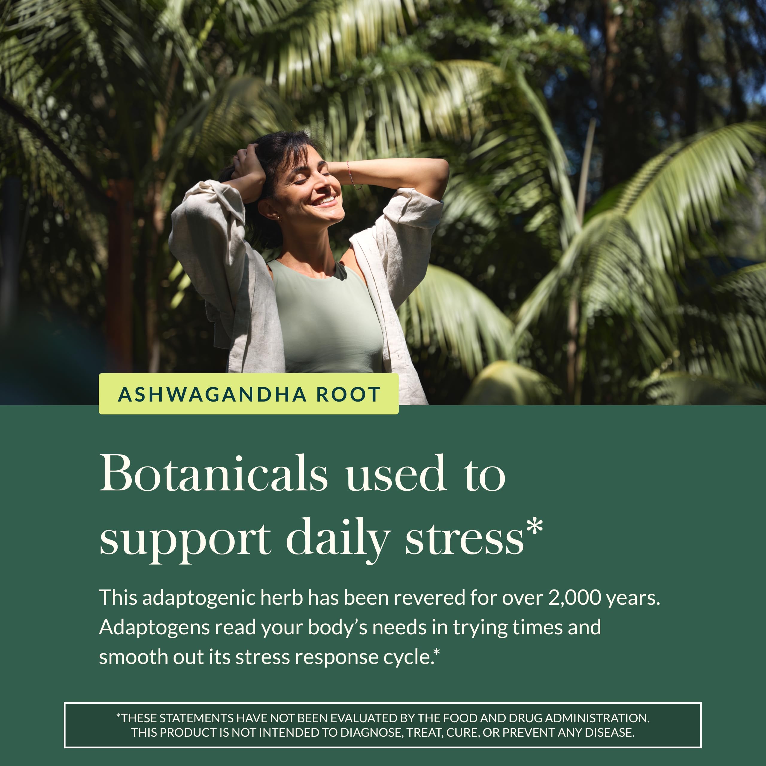 Gaia Herbs Ashwagandha Root - Stress Relief & Sleep Support (60 Vegan Capsules)