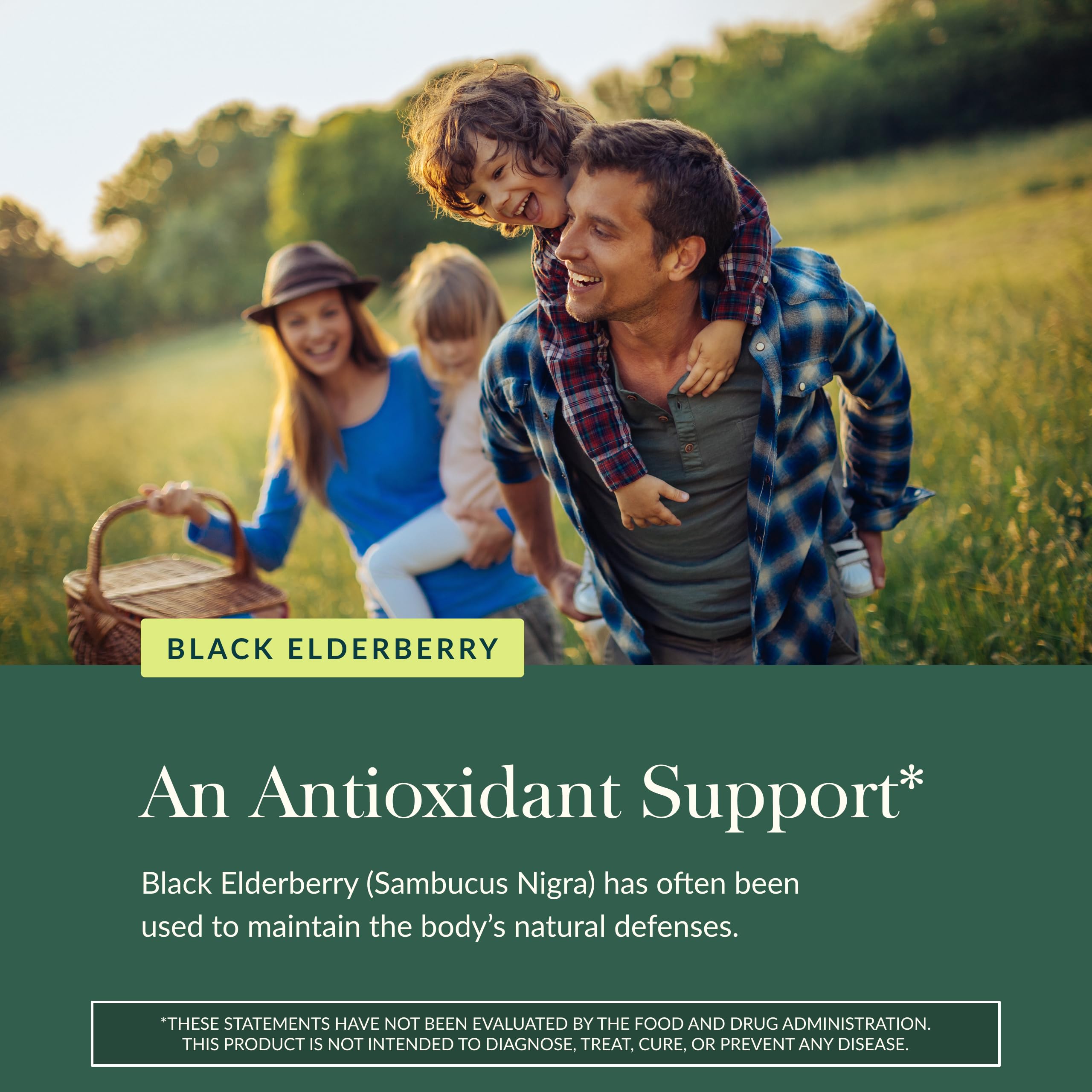 Gaia Herbs Black Elderberry Gummies Extra Strength – Immune Support (40 Gummies)