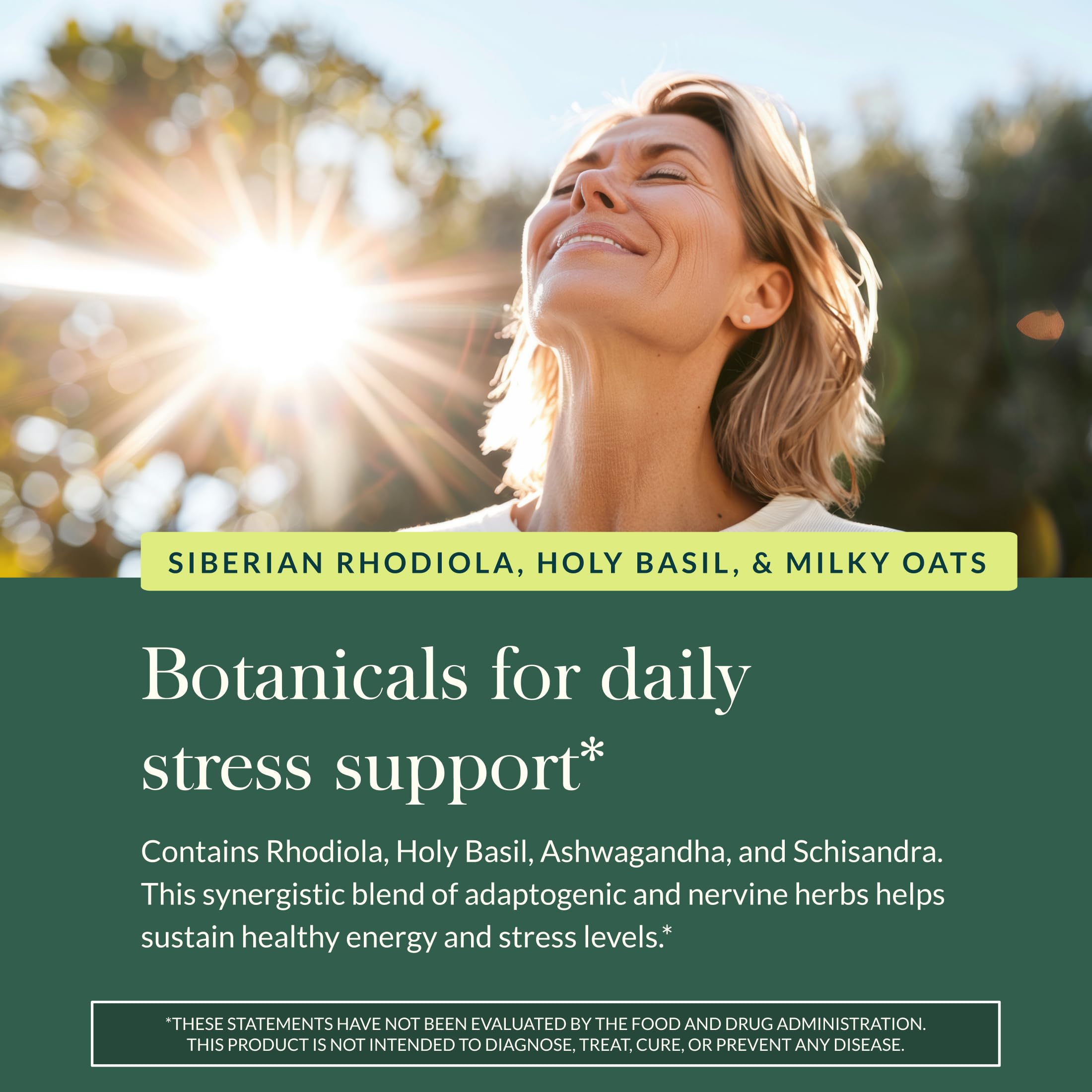Gaia Herbs Adrenal Health Daily Support - Ashwagandha, Holy Basil & Schisandra | 120 Vegan Liquid Phyto-Caps (60 Servings)