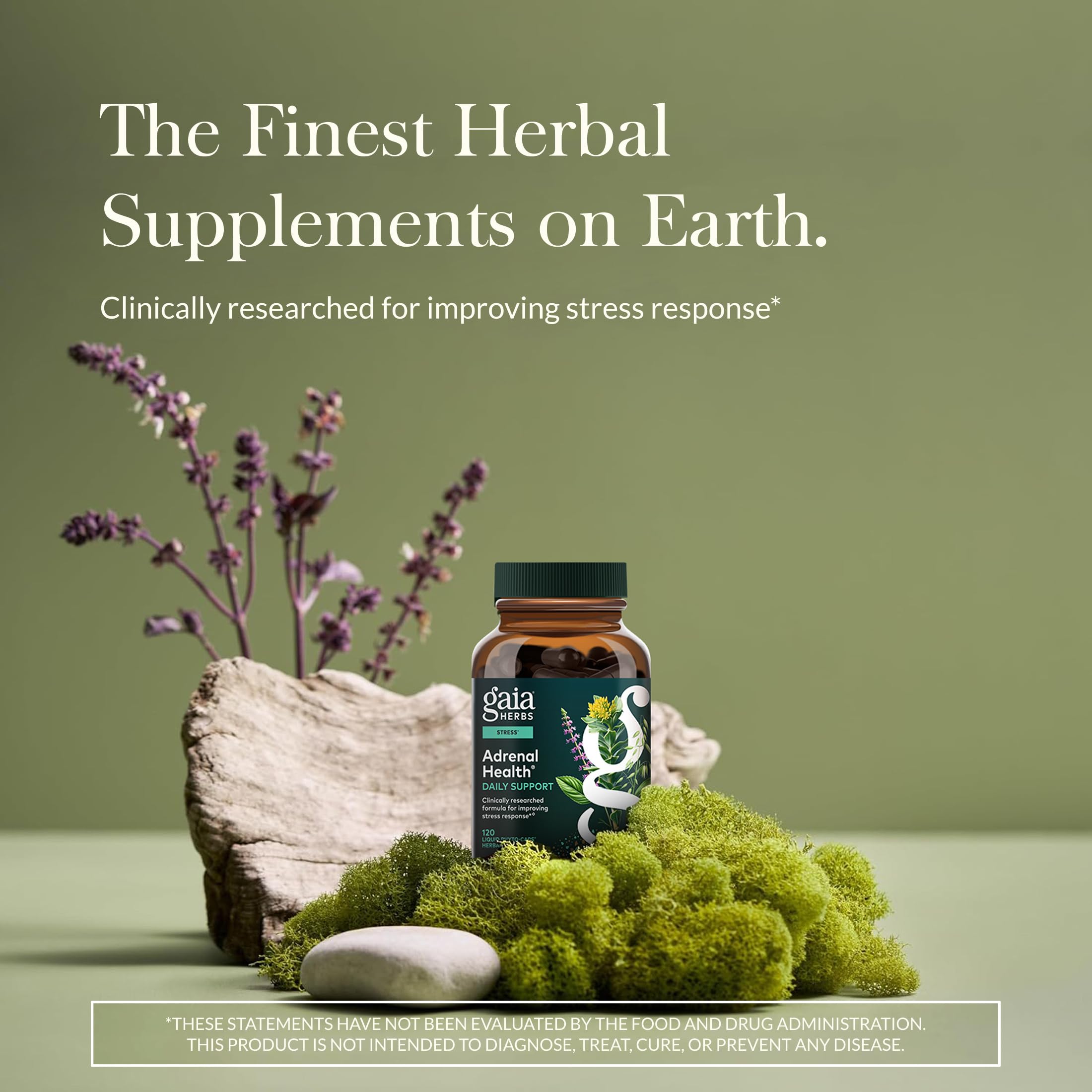 Gaia Herbs Adrenal Health Daily Support - Ashwagandha, Holy Basil & Schisandra | 120 Vegan Liquid Phyto-Caps (60 Servings)
