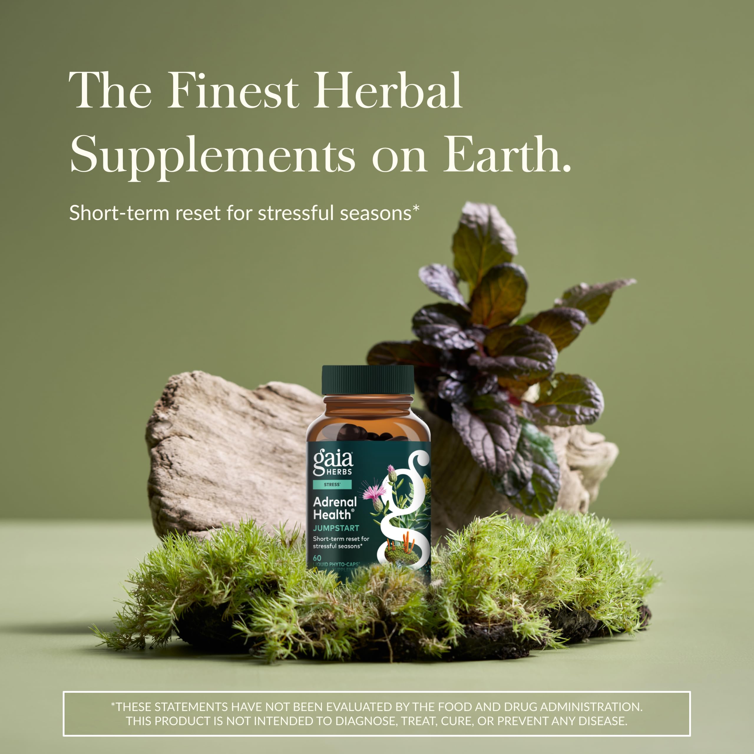 Gaia Herbs Adrenal Health Jumpstart | Adaptogenic Blend for Energy & Stress Support | 60 Vegan Liquid Phyto-Capsules