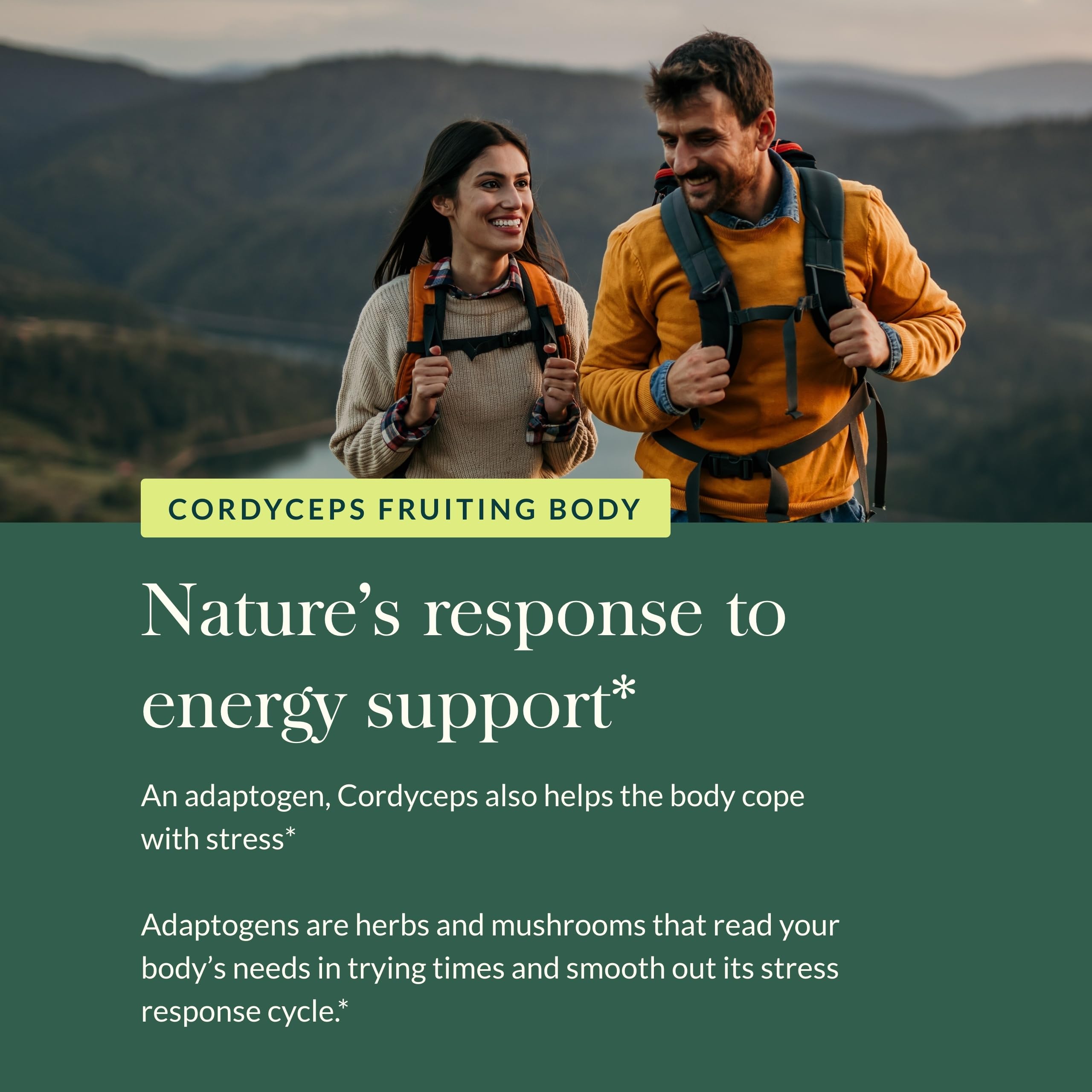 Gaia Herbs Cordyceps Mushroom – Energy & Endurance Support (40-Day, Vegan)
