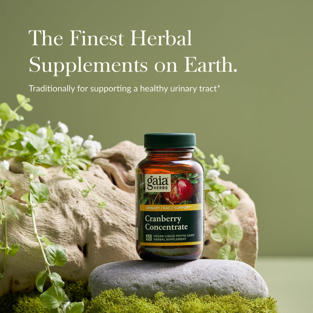 Gaia Herbs Cranberry Concentrate - Urinary Tract Health | 60 Vegan Liquid Phyto-Capsules