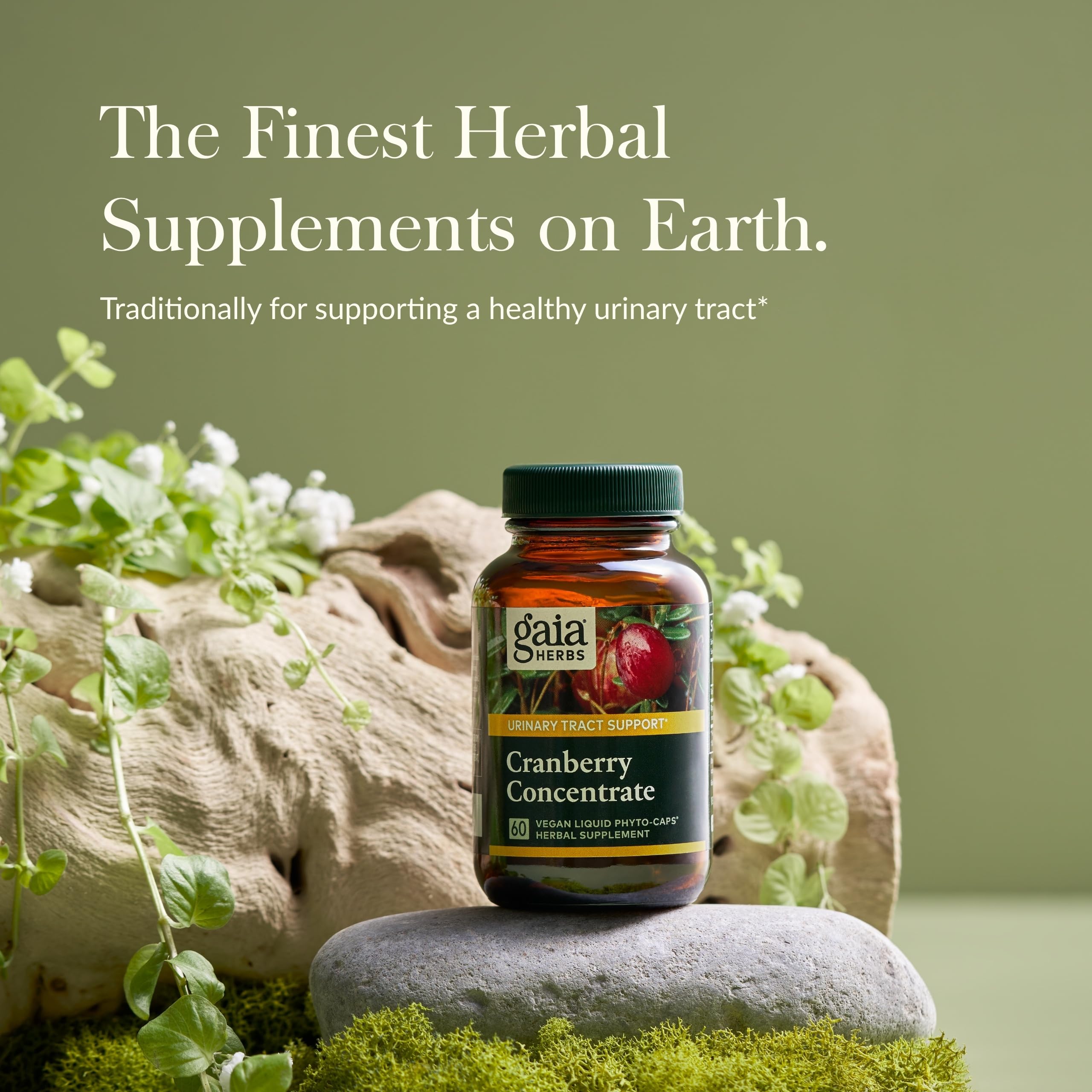 Gaia Herbs Cranberry Concentrate - Urinary Tract Health | 60 Vegan Liquid Phyto-Capsules