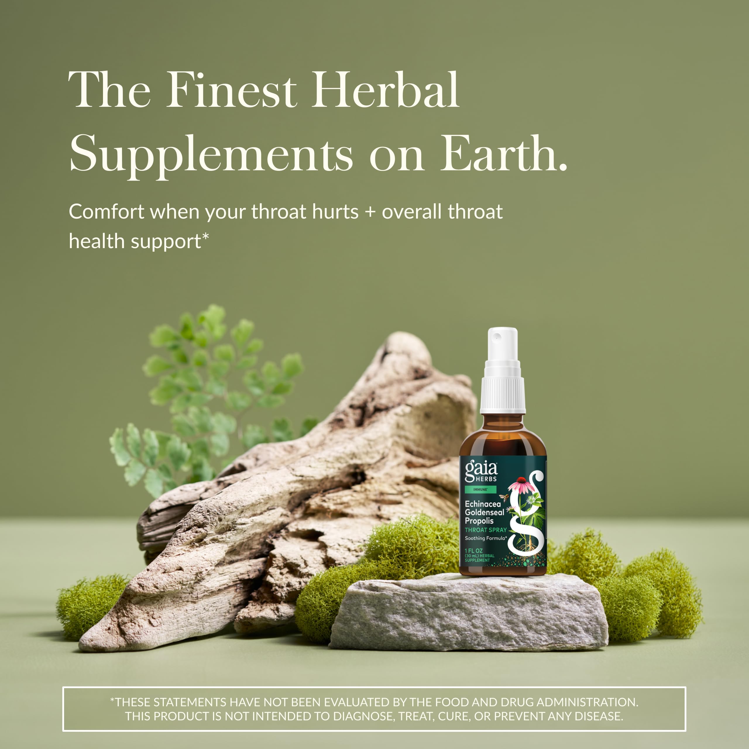 Gaia Herbs Echinacea Goldenseal Propolis Throat Spray – Immune Support (Organic 1 oz)