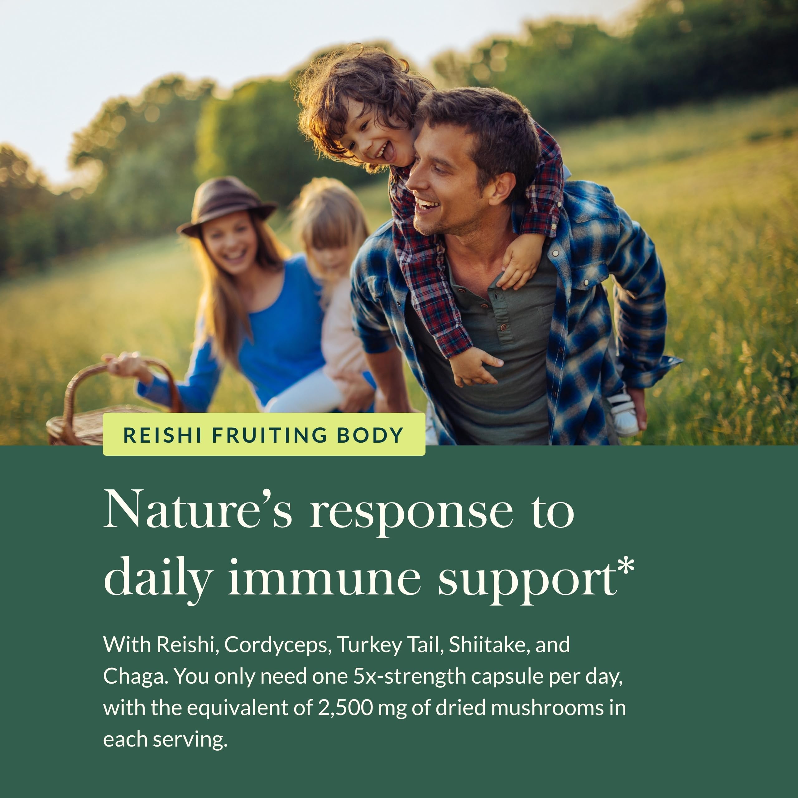 Gaia Herbs Immune Mushroom Blend – Immune Support (40 Vegan Capsules)