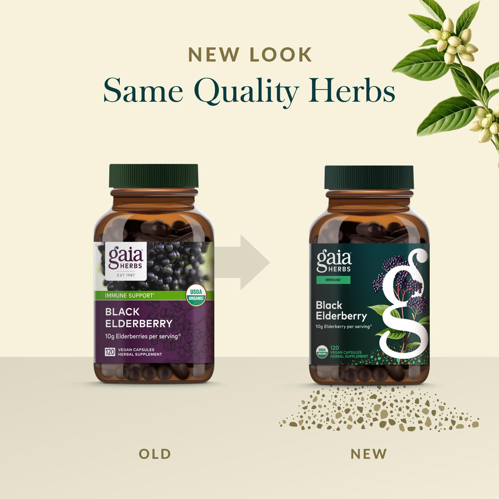 Gaia Herbs Black Elderberry – Daily Immune Support Capsules with Acerola (120 Vegan Capsules, 60 Servings)