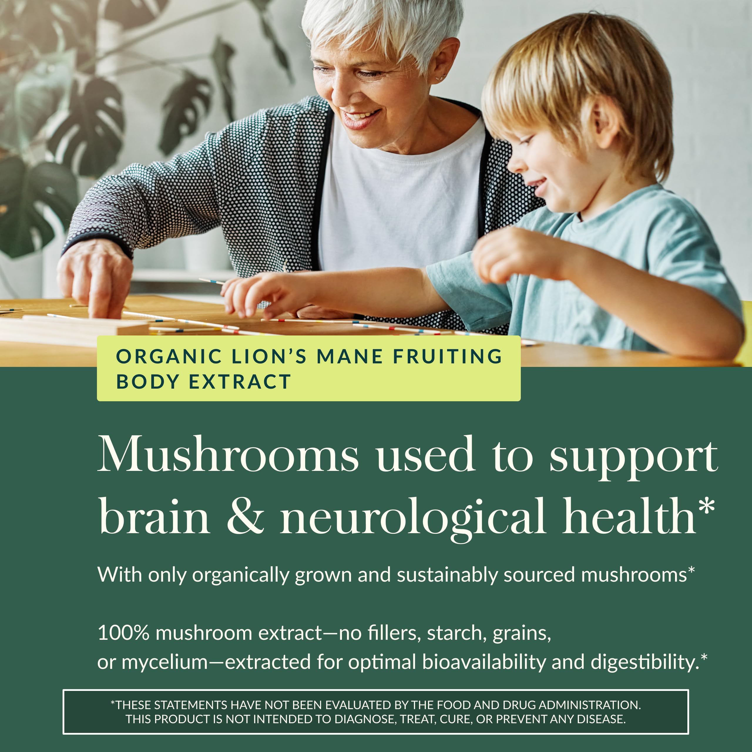 Gaia Herbs Lion's Mane Mushroom – Brain & Nerve Support, 120 Vegan Capsules