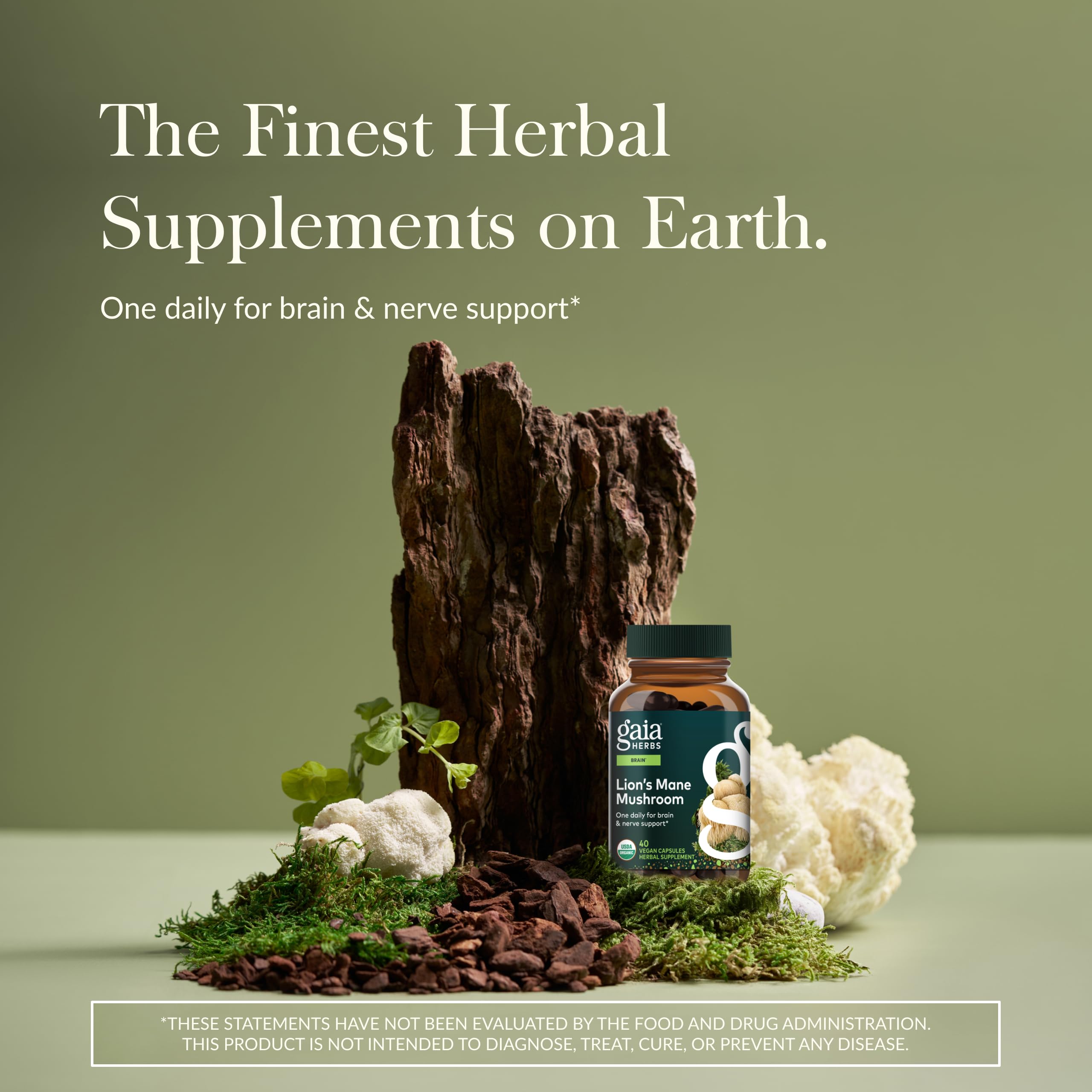 Gaia Herbs Lion’s Mane Mushroom – Brain & Nerve Health Support* | 40 Vegan Capsules