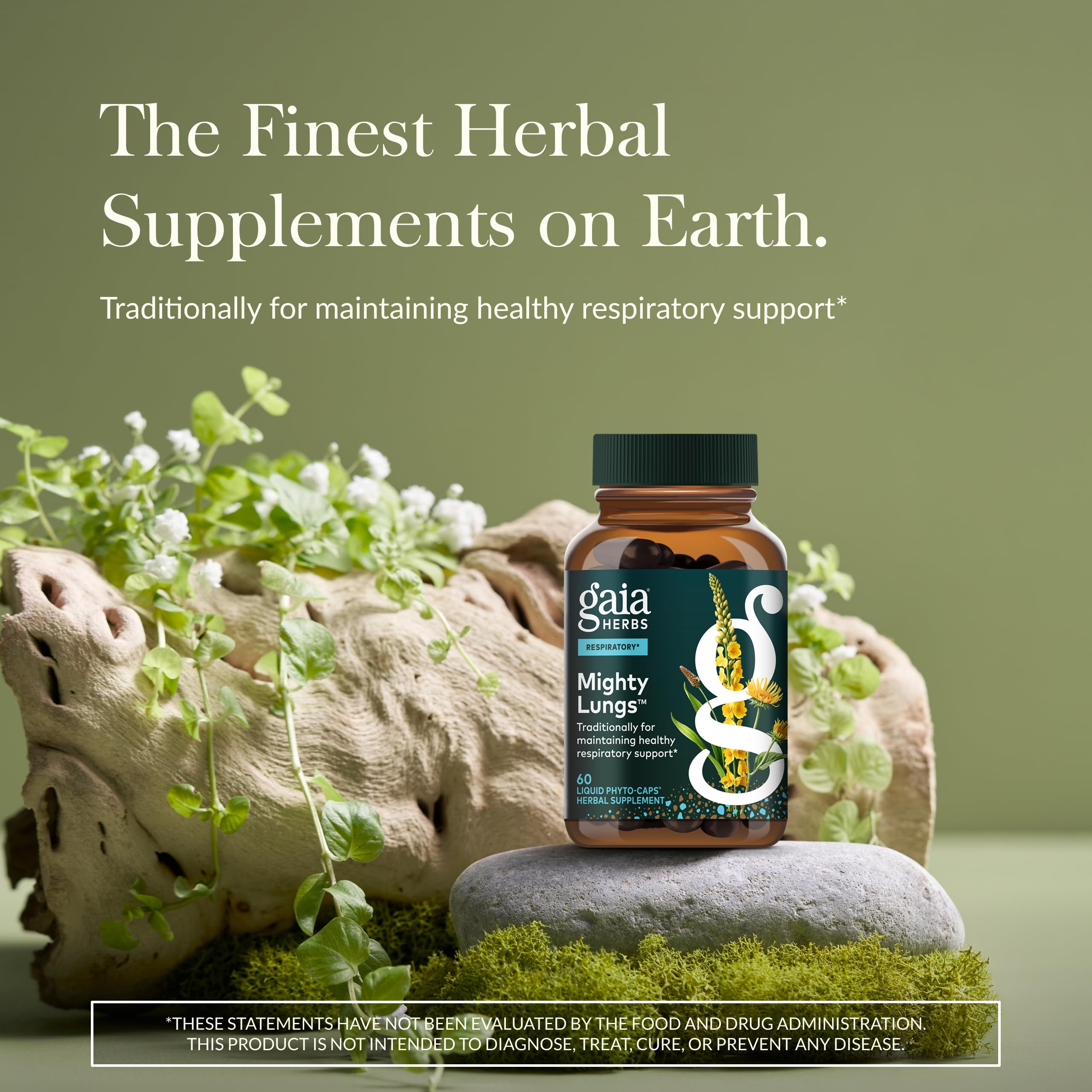 Gaia Herbs Mighty Lungs - Lung Support Supplement with Traditional Respiratory Herbs | 60 Vegan Liquid Phyto-Capsules (30-Day)