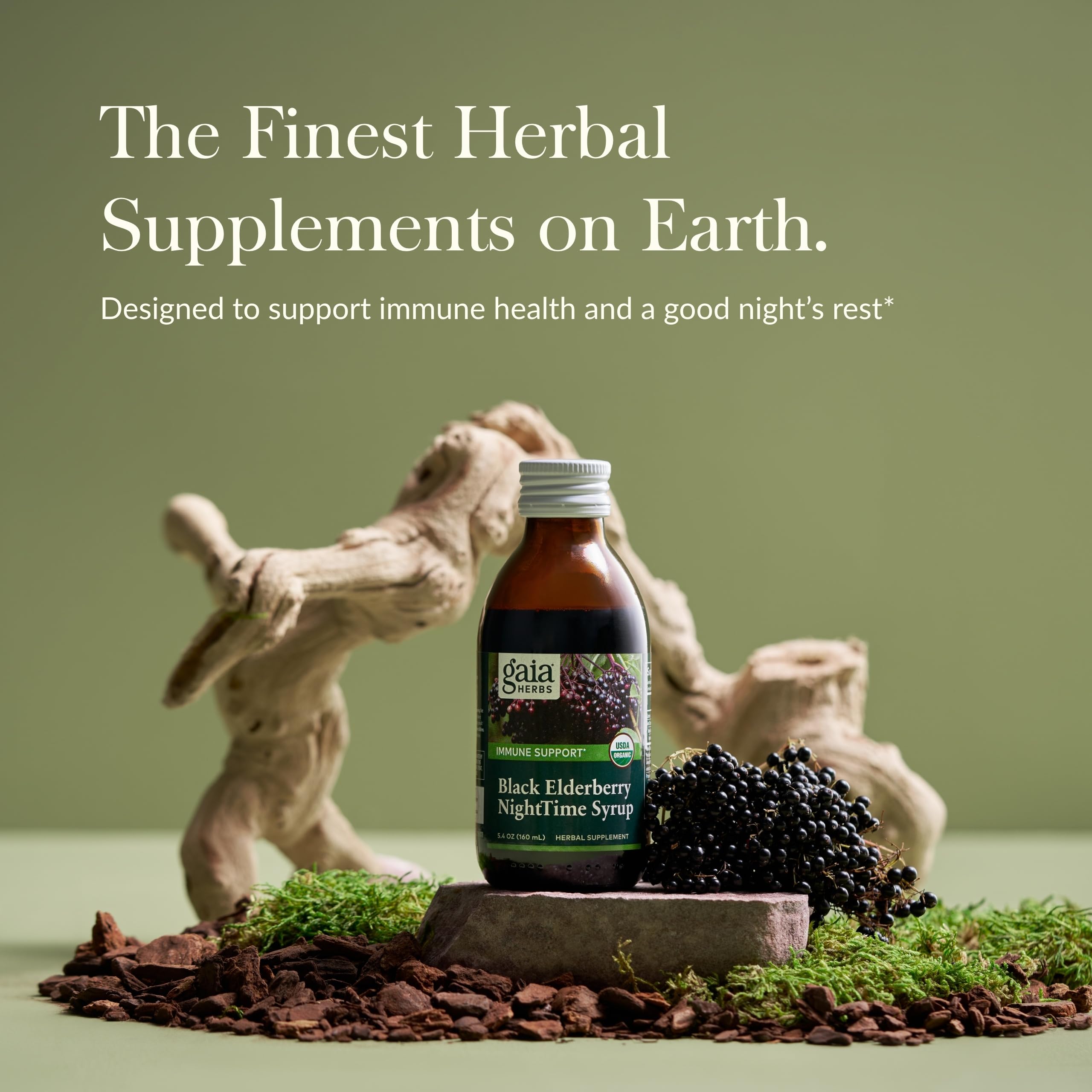 Gaia Herbs Black Elderberry NightTime Syrup – Immune Support & Restful Sleep | 5.4 Fl Oz (32-Day Supply)