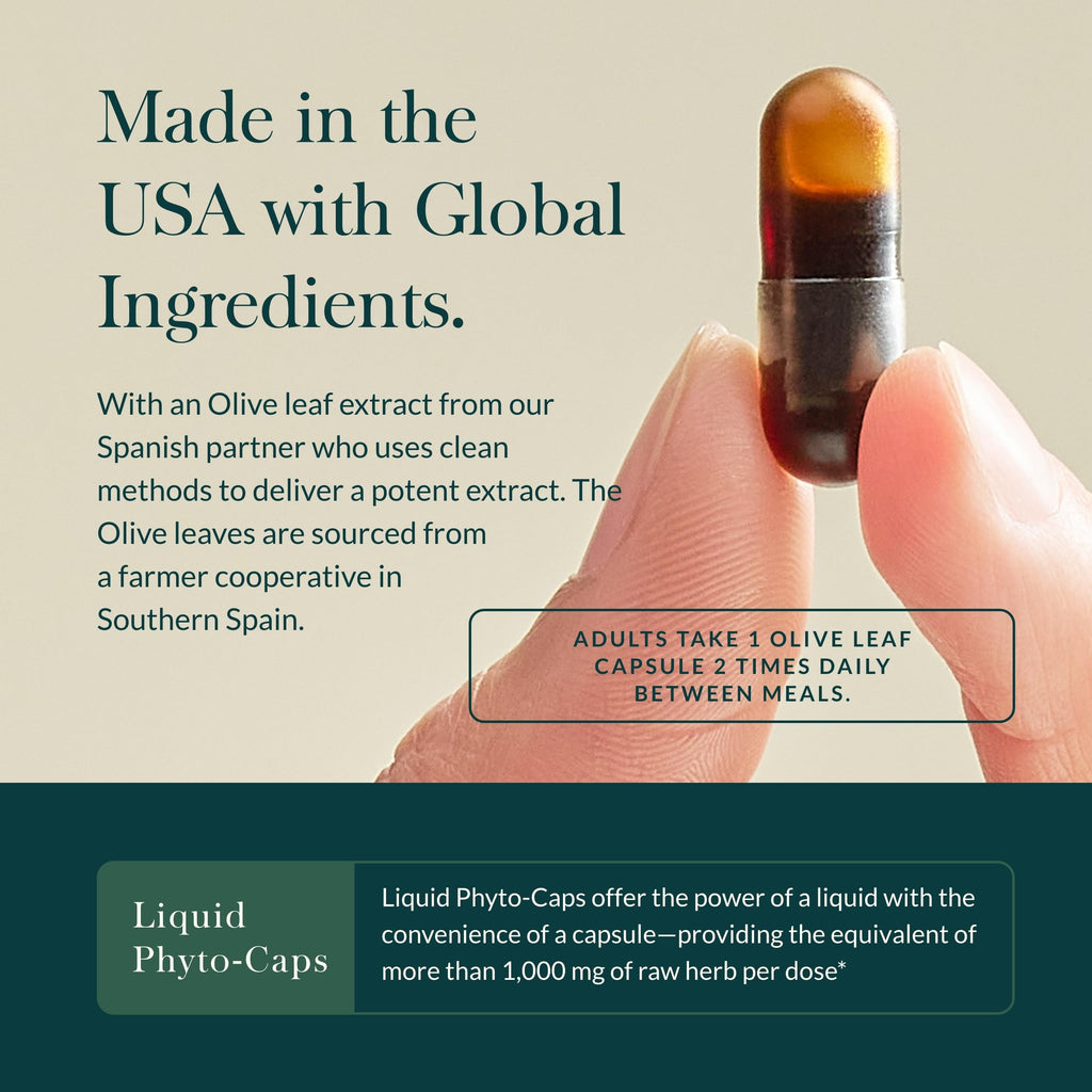Gaia Herbs Olive Leaf - Traditional Immune Support with Oleuropein | 120 Vegan Liquid Phyto-Caps