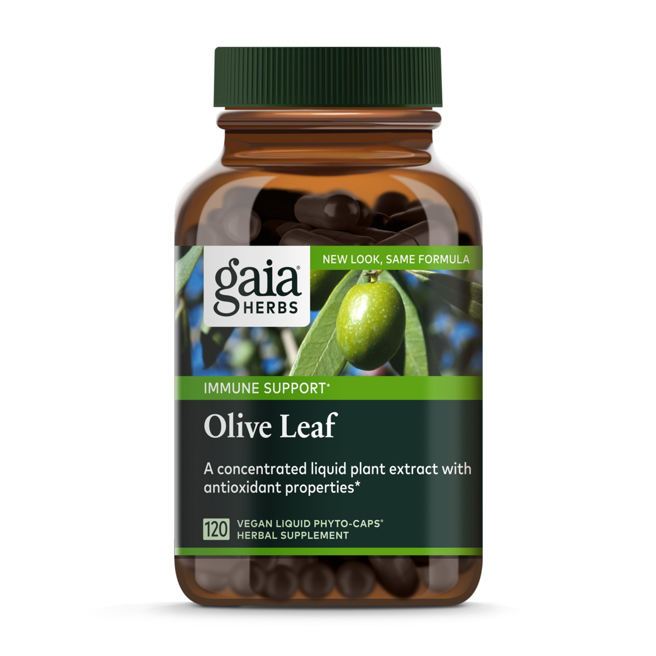 Gaia Herbs Olive Leaf - Traditional Immune Support with Oleuropein | 120 Vegan Liquid Phyto-Caps