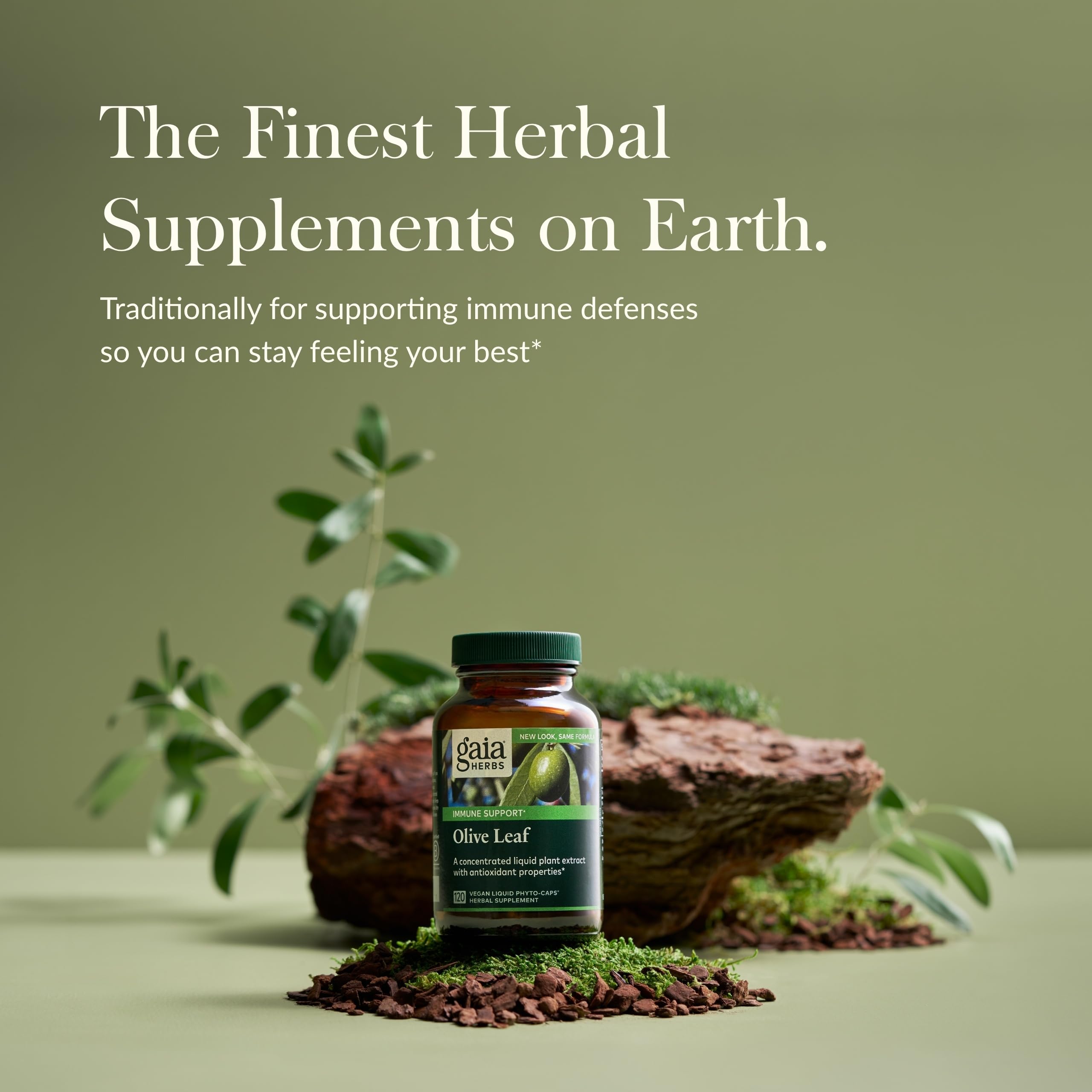 Gaia Herbs Olive Leaf - Traditional Immune Support with Oleuropein | 120 Vegan Liquid Phyto-Caps