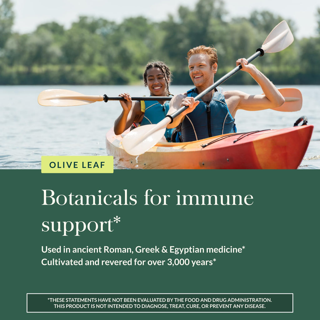 Gaia Herbs Olive Leaf - Traditional Immune Support with Oleuropein | 120 Vegan Liquid Phyto-Caps