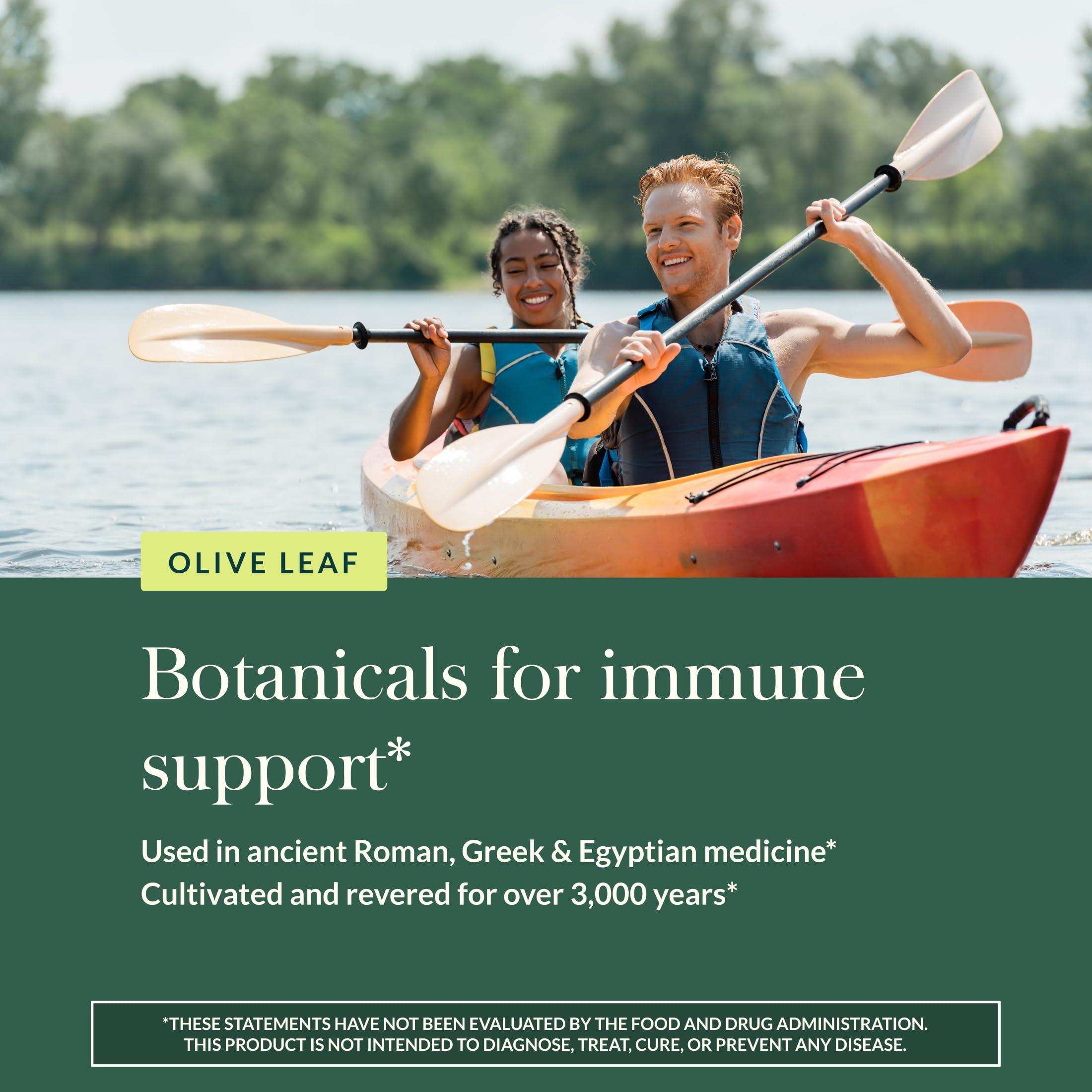 Gaia Herbs Olive Leaf - Traditional Immune Support with Oleuropein | 120 Vegan Liquid Phyto-Caps