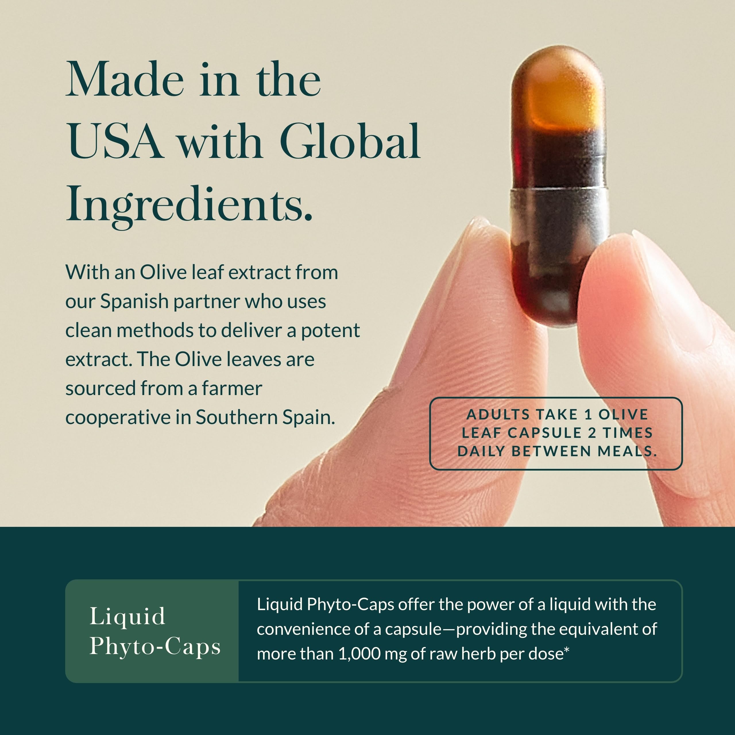 Gaia Herbs Olive Leaf - Traditional Immune Health Support | 60 Vegan Liquid Phyto-Caps